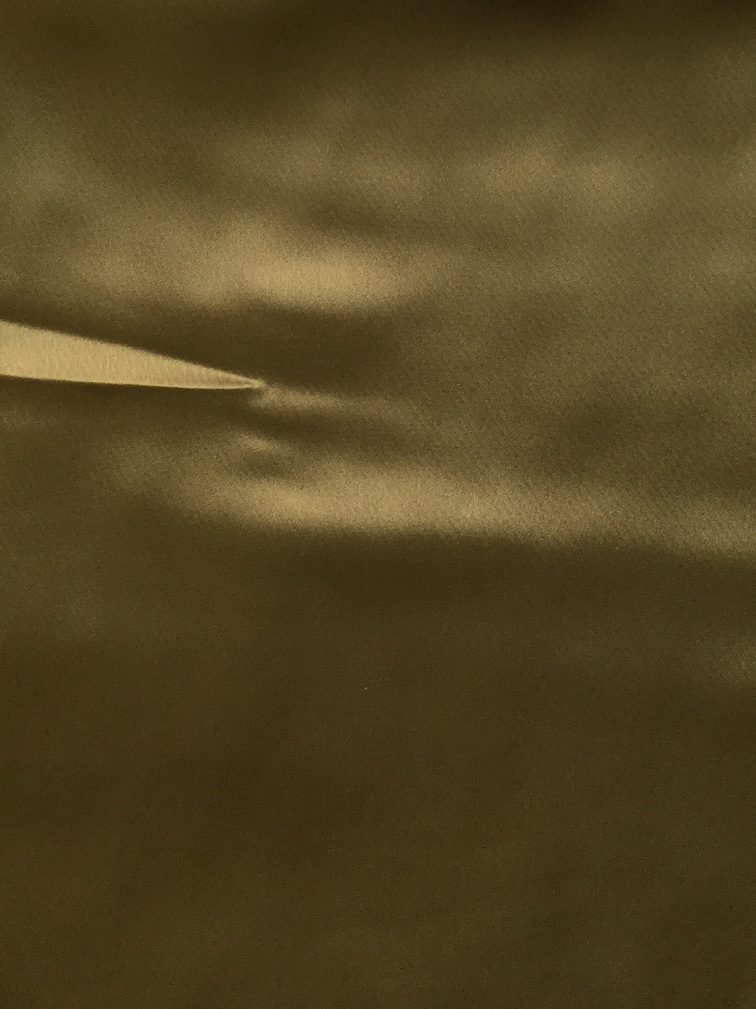 Triacetate Blend Charmeuse in Olive Drab