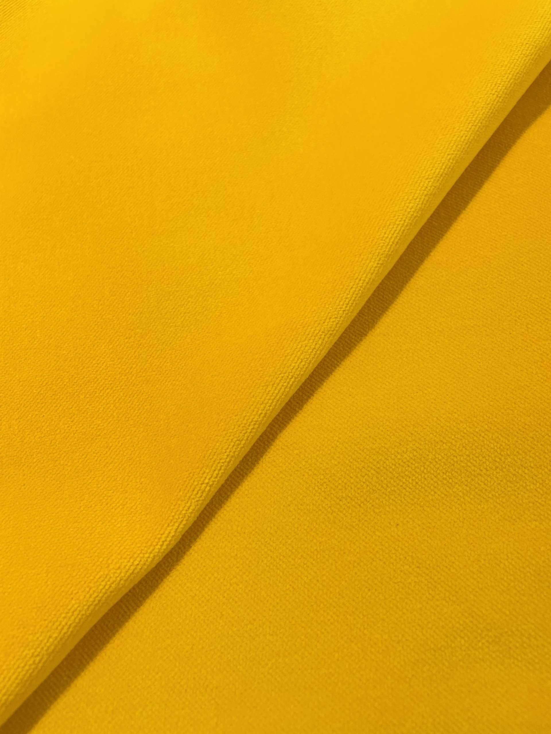 Pure Cotton Velvet in Sunflower