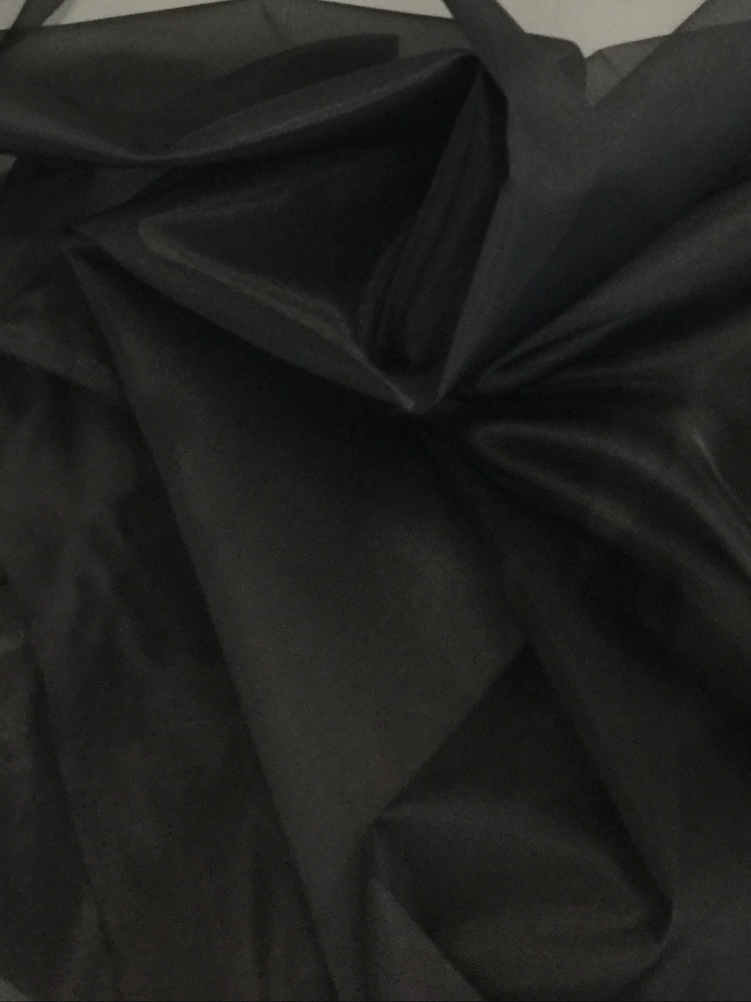 Polyester Organza in Black