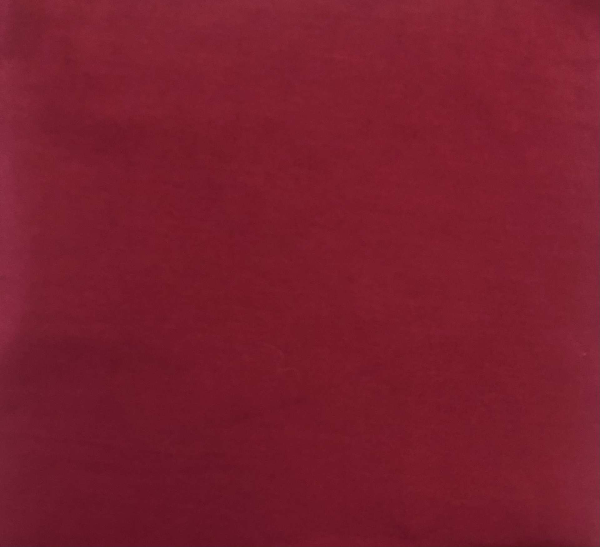 Sustainable Cotton Spandex Jersey in Rhubarb