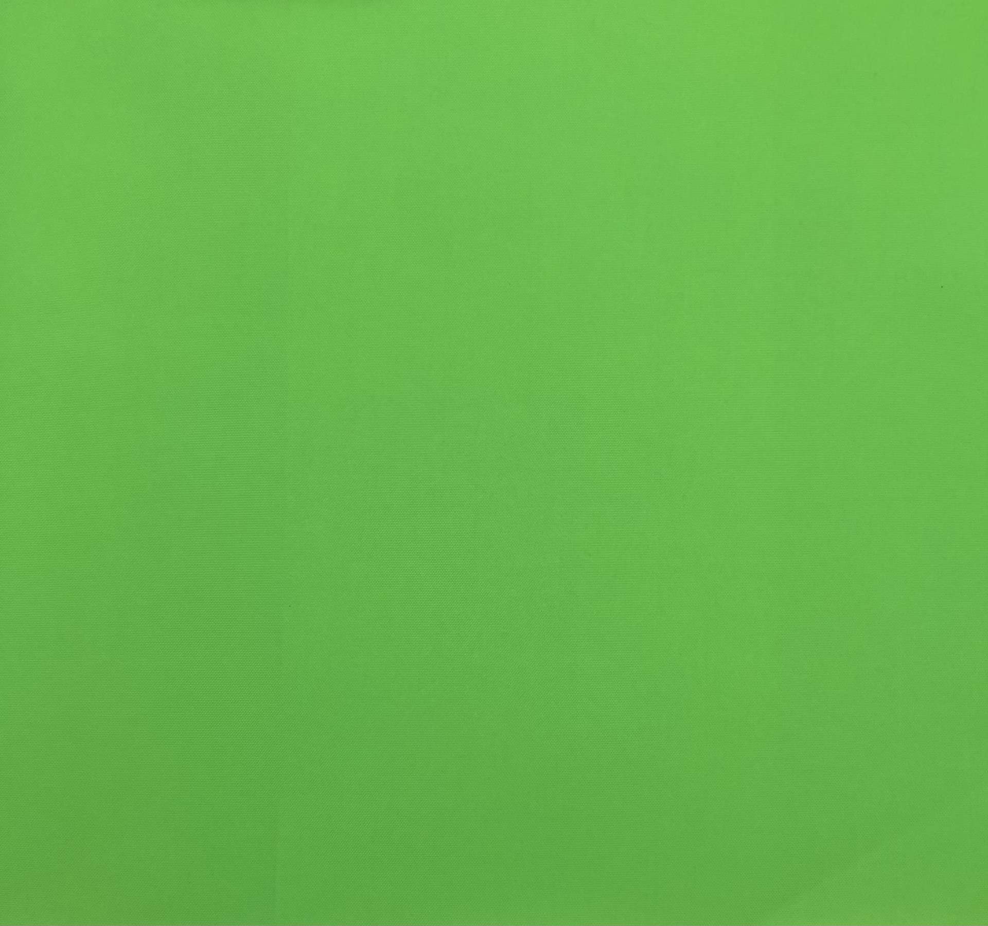 Scnp 100% Nylon Canvas in Neon Green
