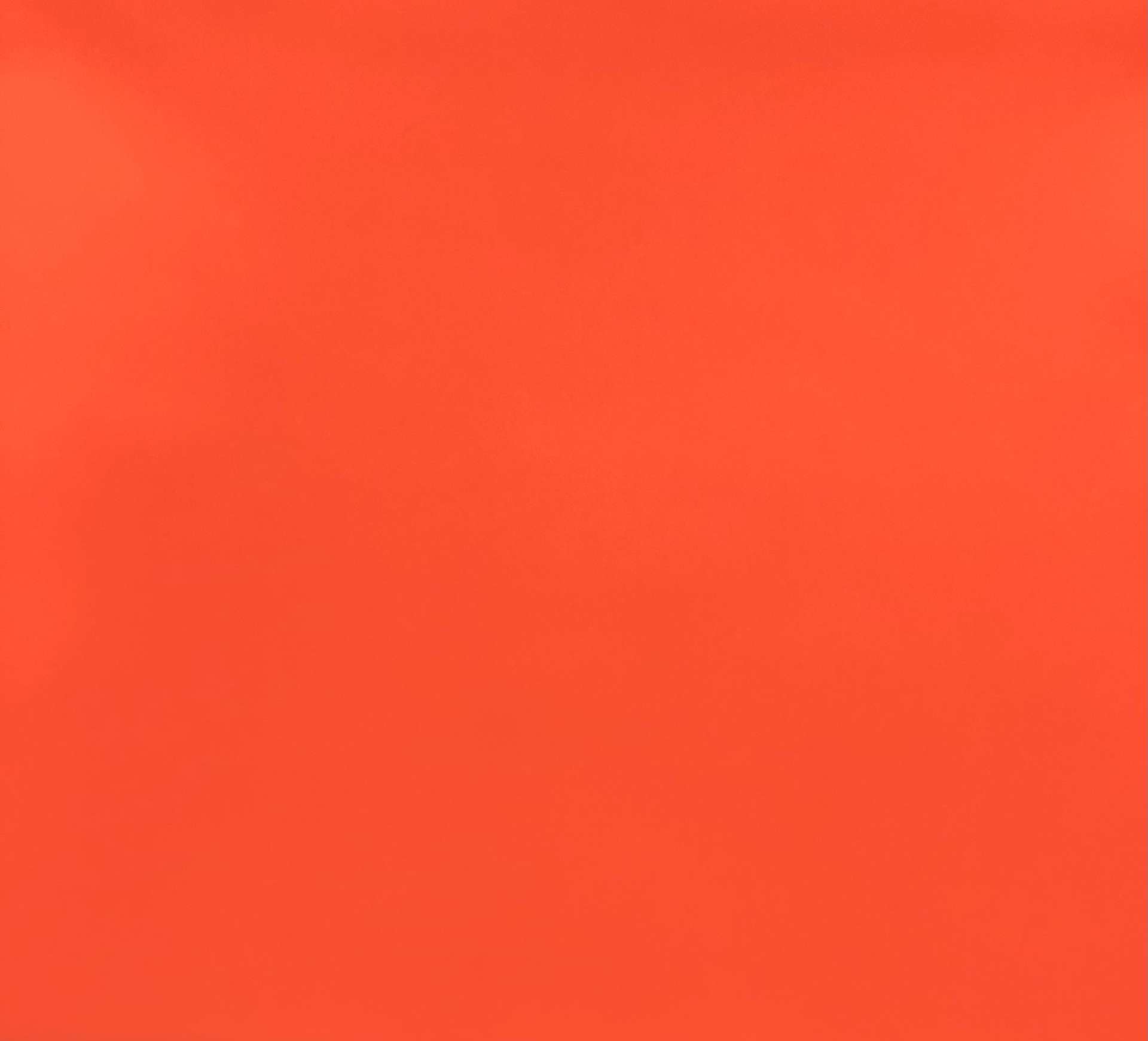 Scnp 100% Nylon Pack Cloth in Fluorescent Orange