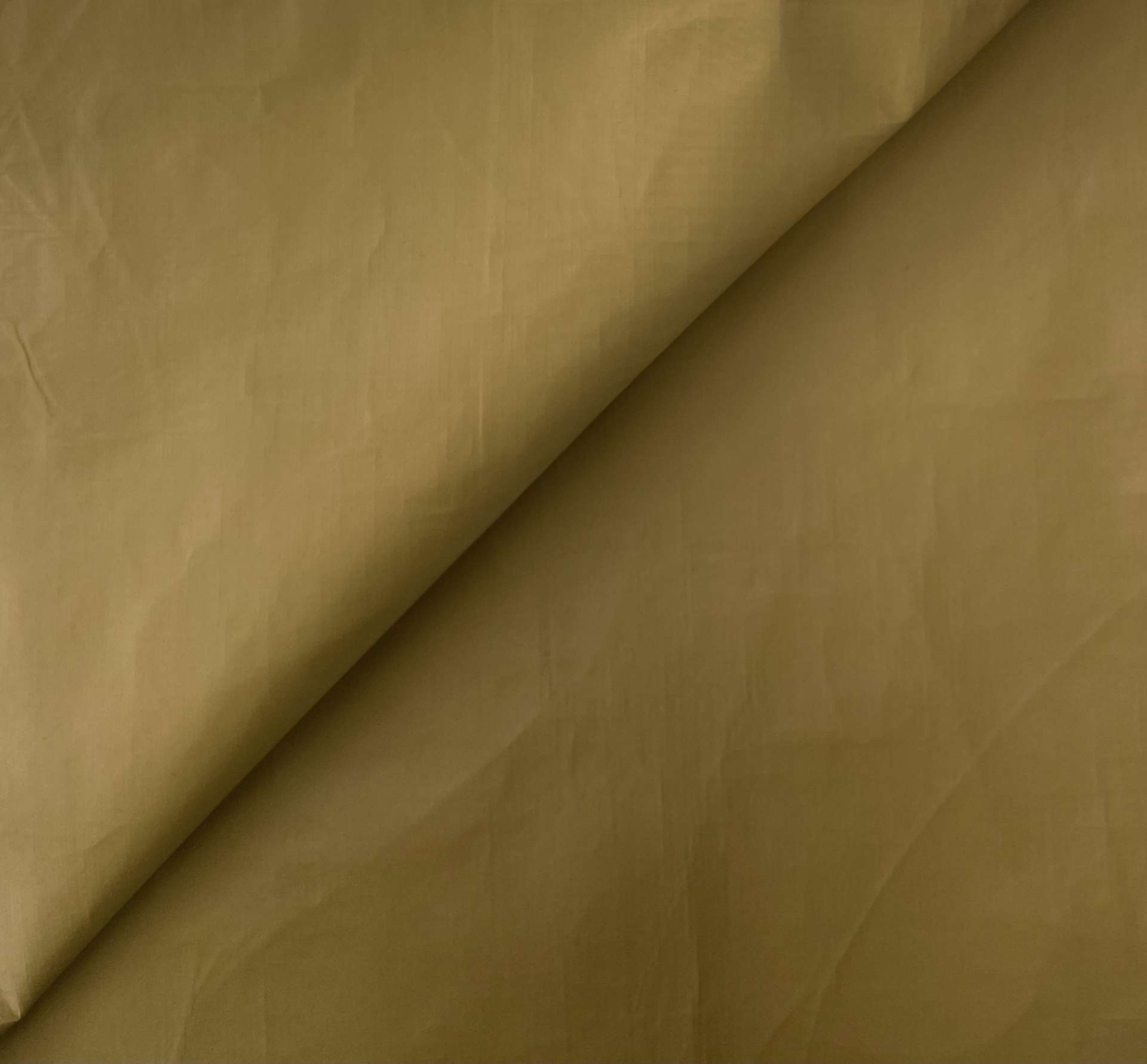 Tyvek in Camel