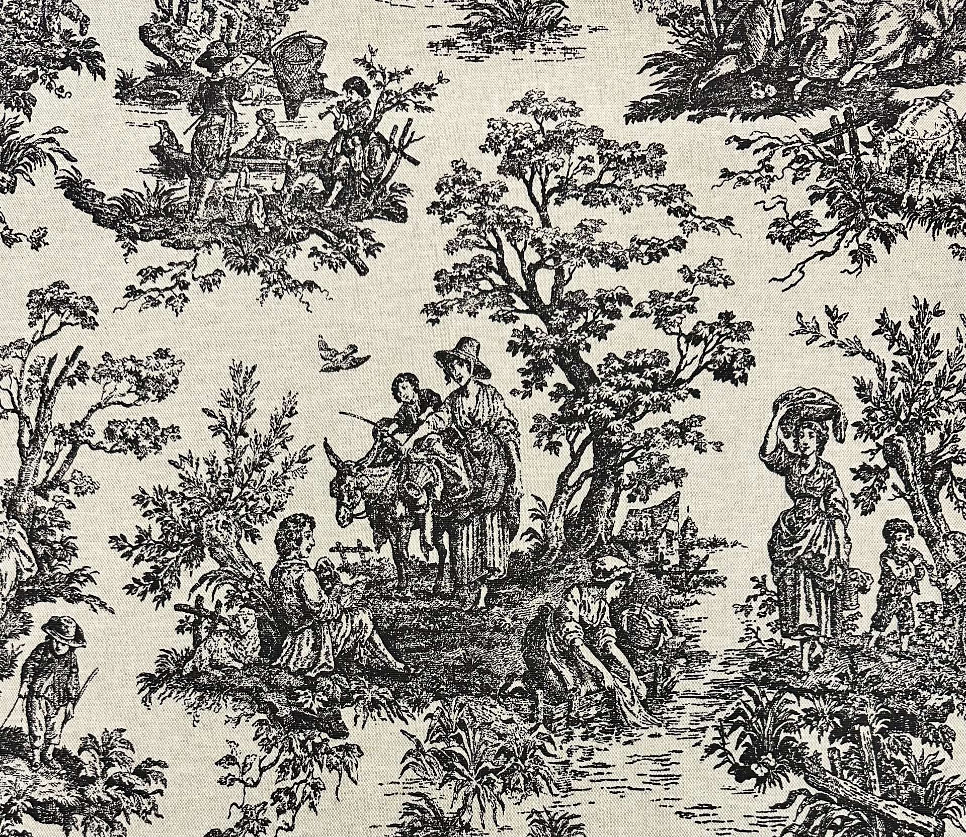 Large Toile de Jouy Cotton Rayon Canvas in Black