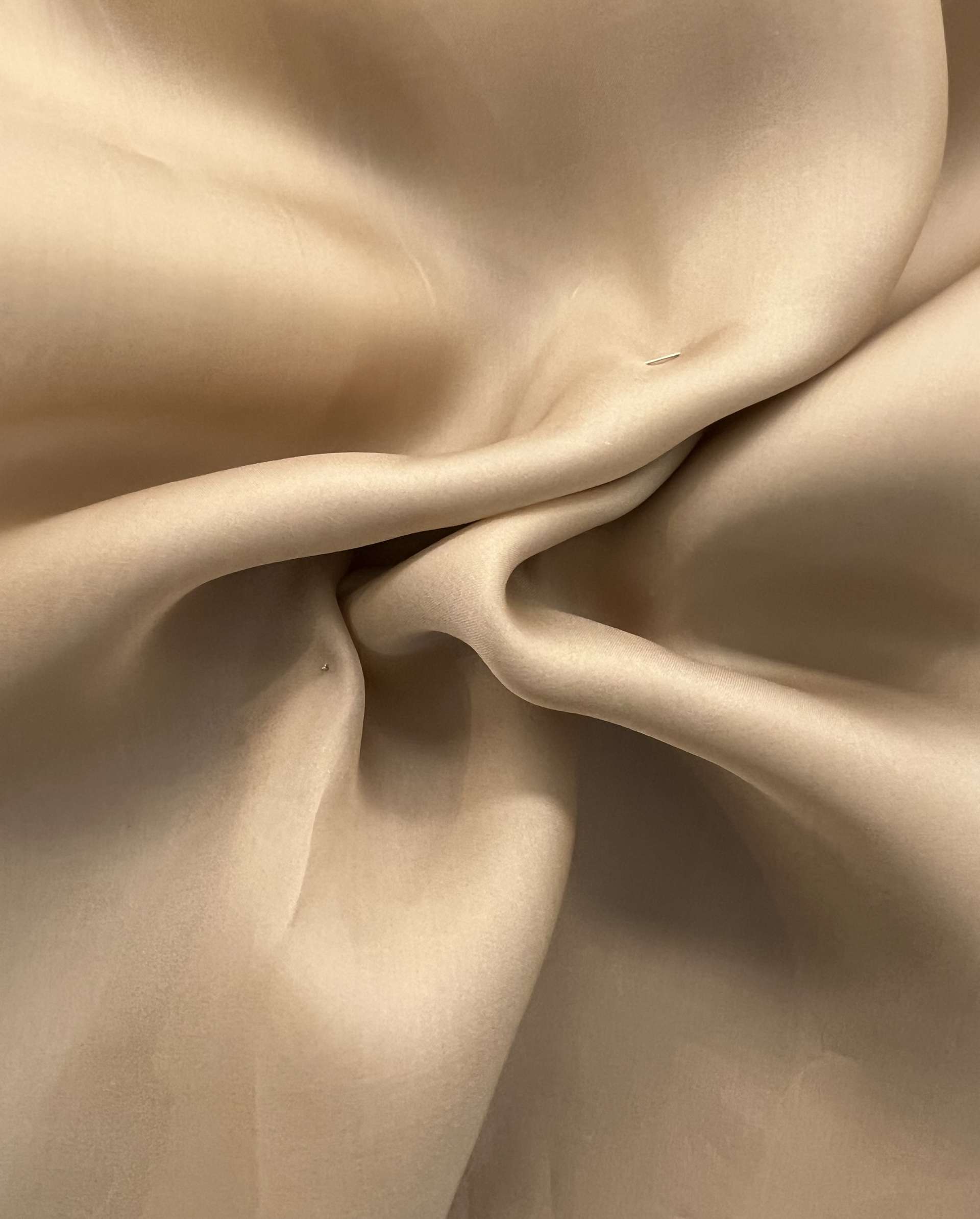 Pure silk Satin Organza in Tan