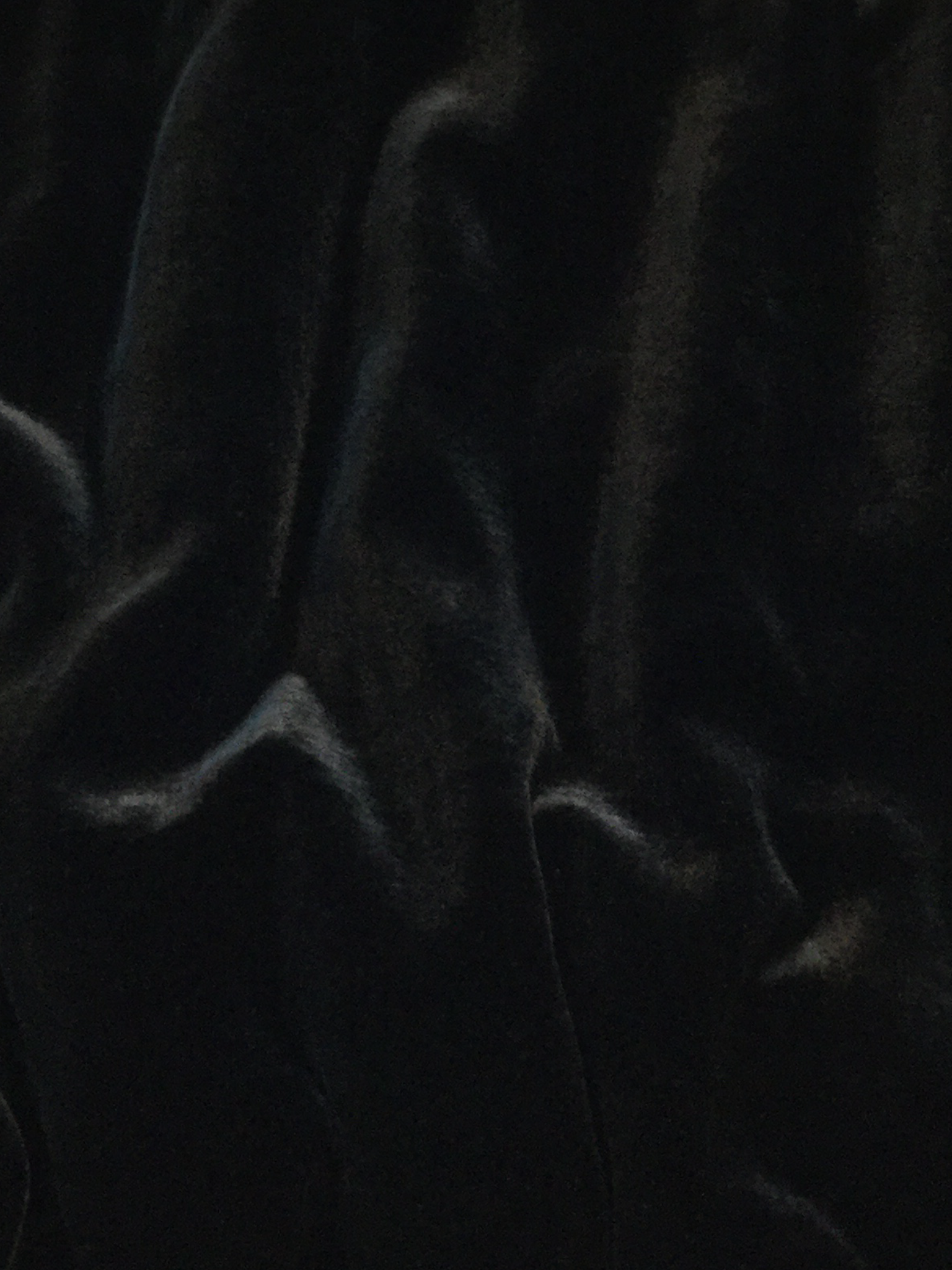 Silk and Rayon Velvet in Black
