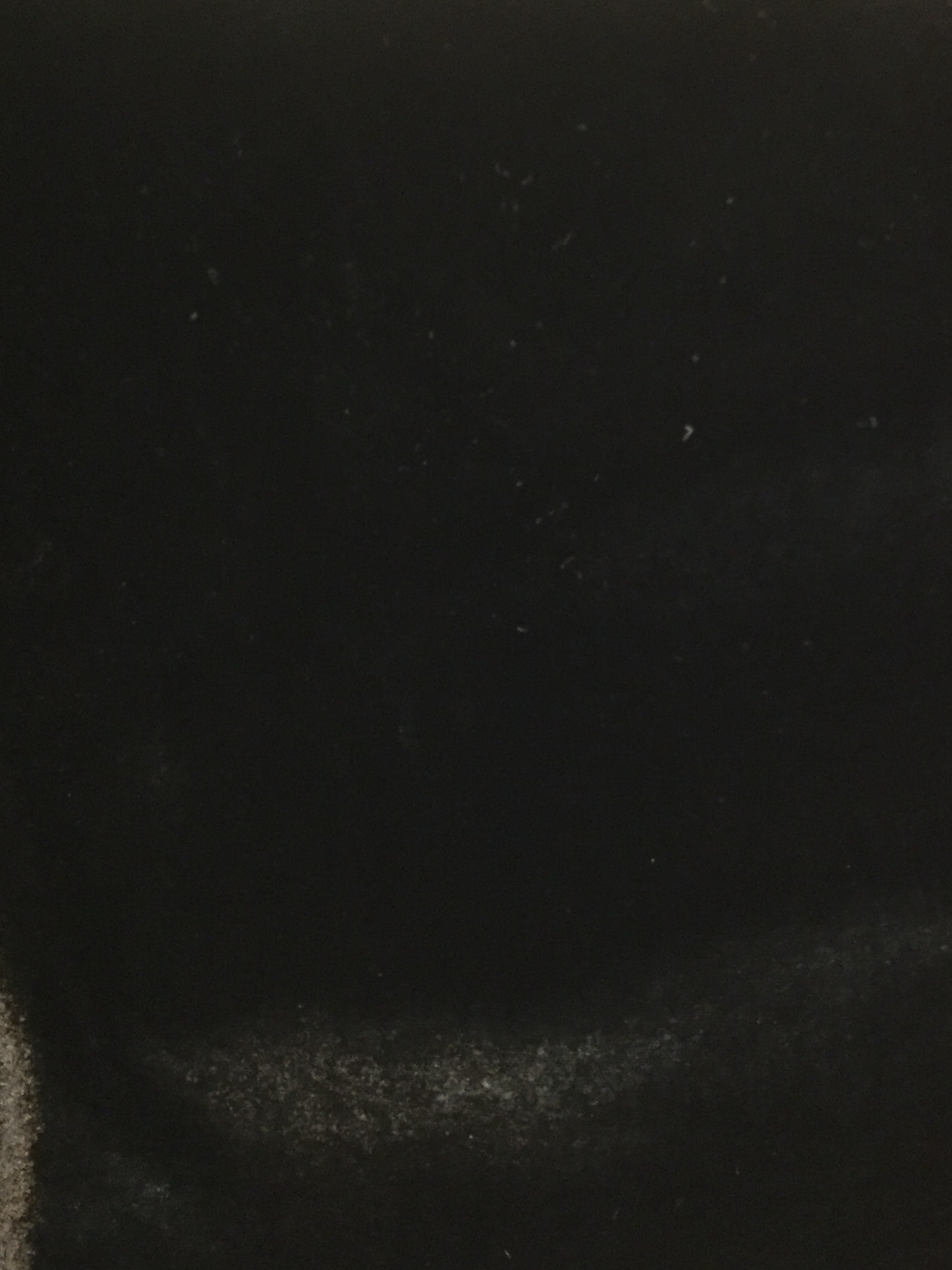 Silk Rayon Velvet in Black
