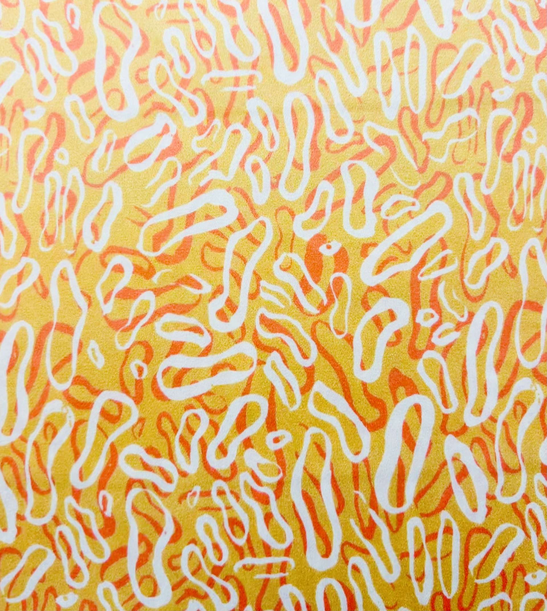 Printed Stretch Silk Charmeuse
