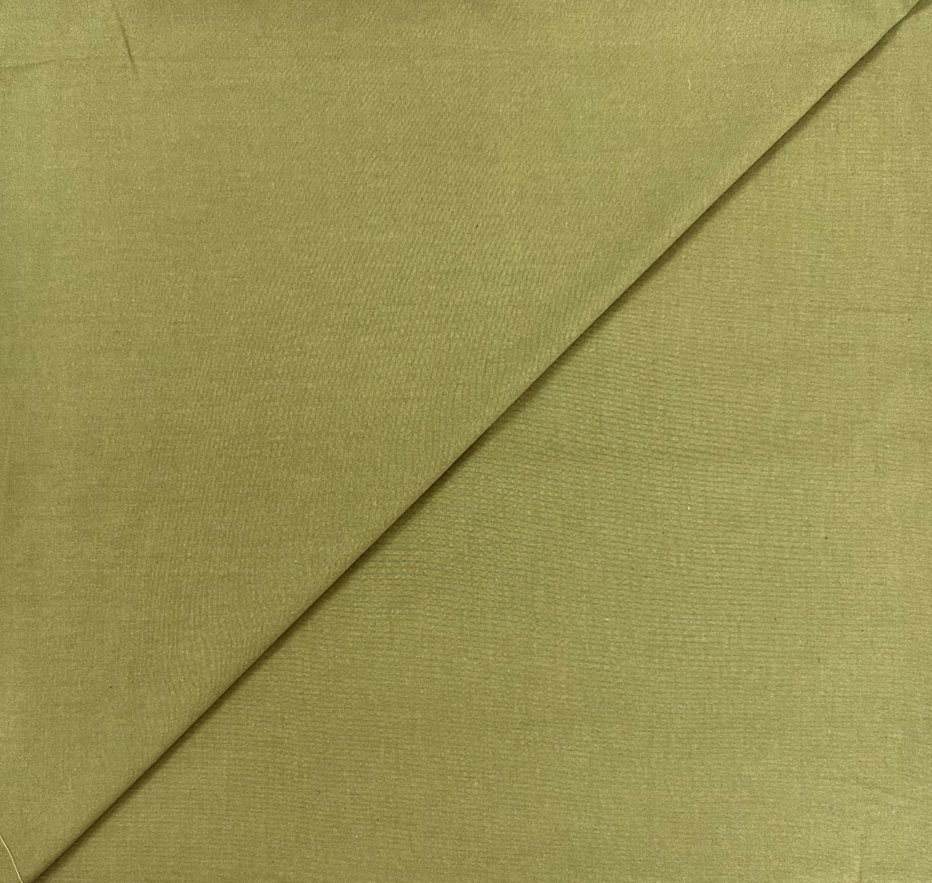 Cotton Yarn Dyed Oxford in Olive