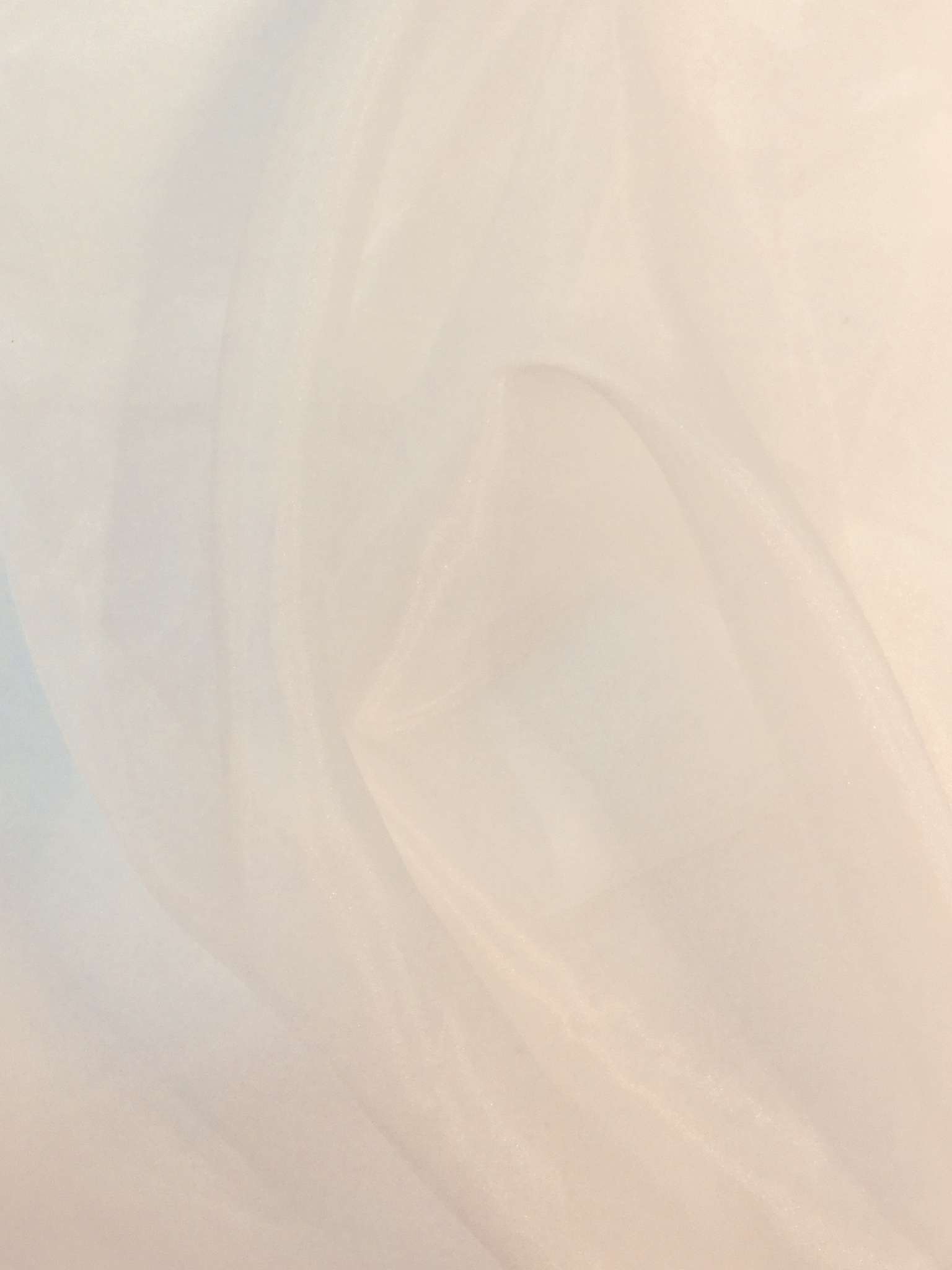 Polyester Organza in Off White
