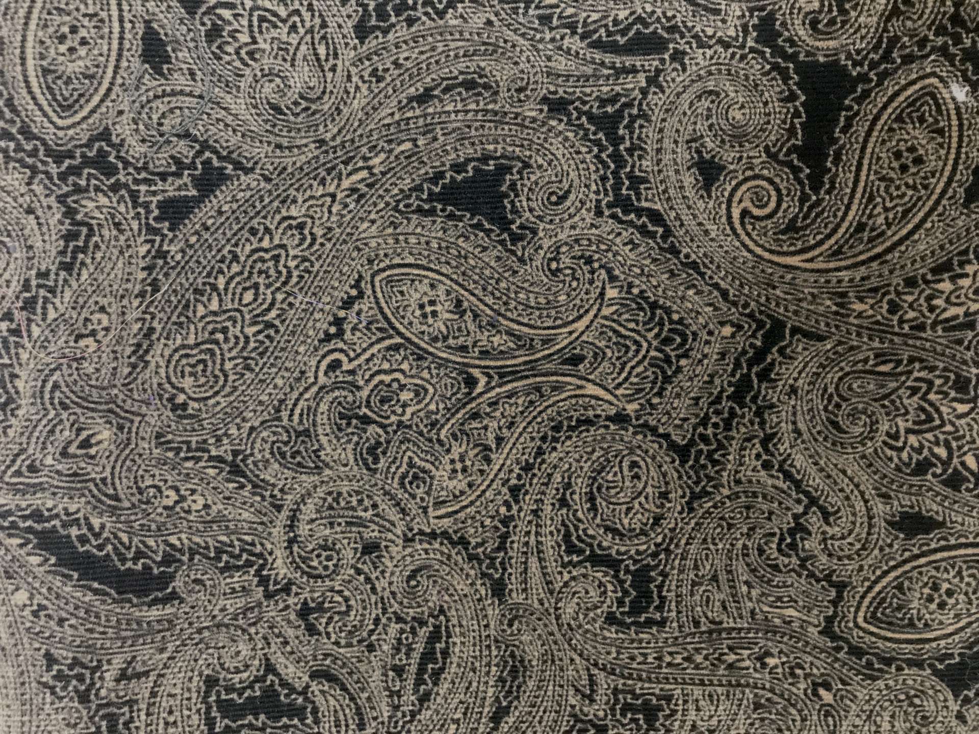 Printed Stretch Cotton Velvet with Paisley Patterns