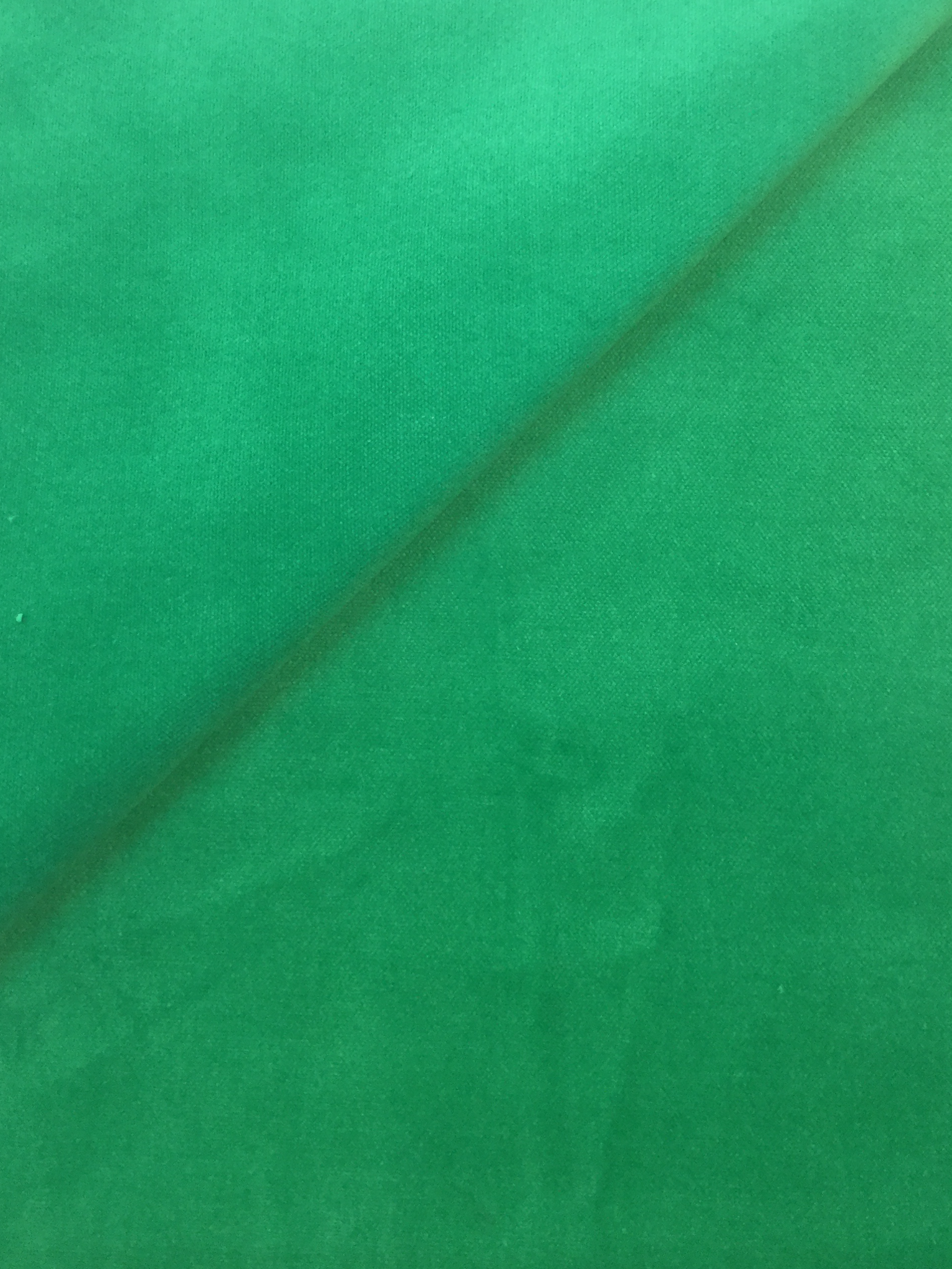 Pure Cotton Velvet in Bright Green