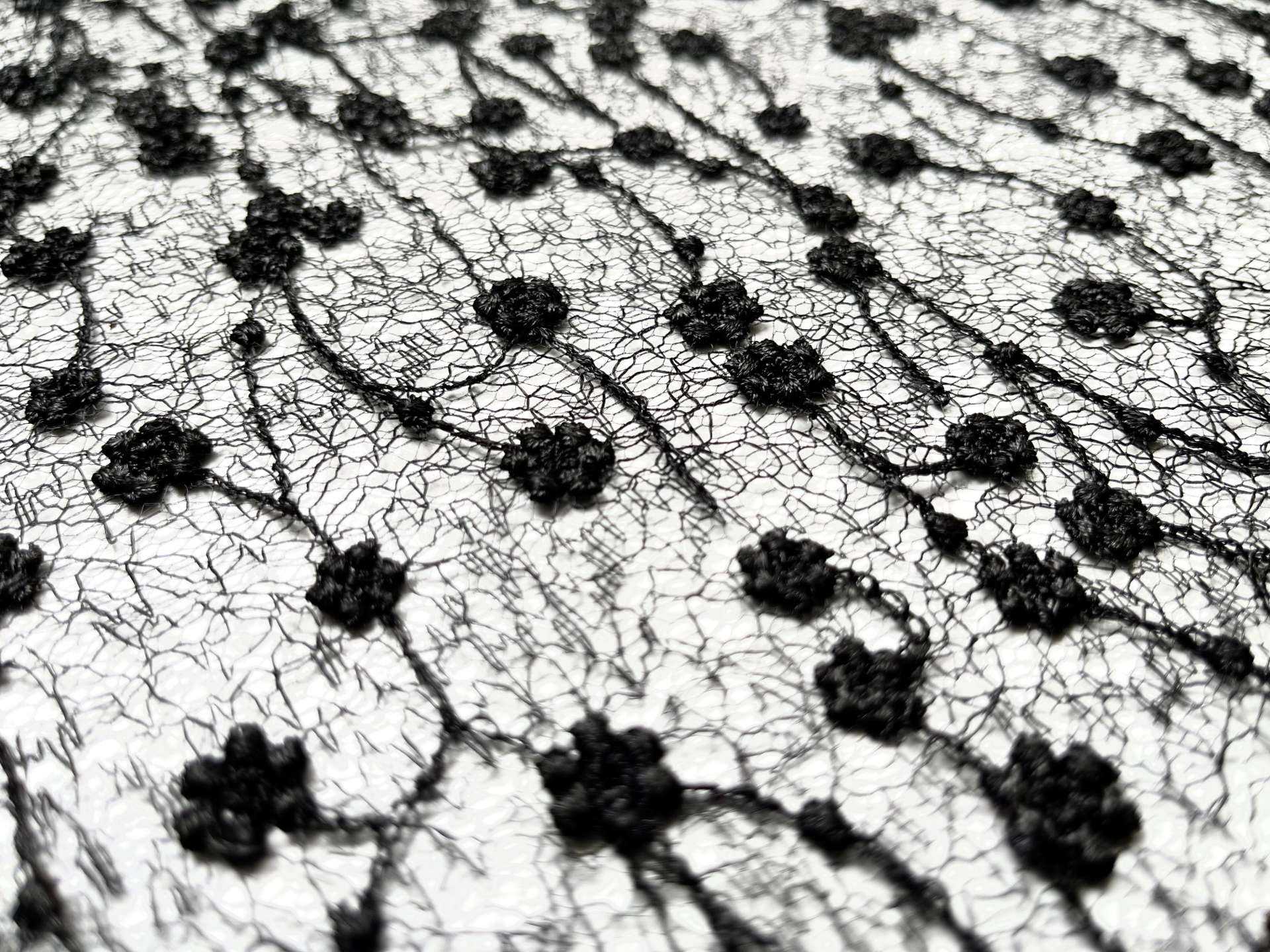 Embroidered Novelty Net in Black
