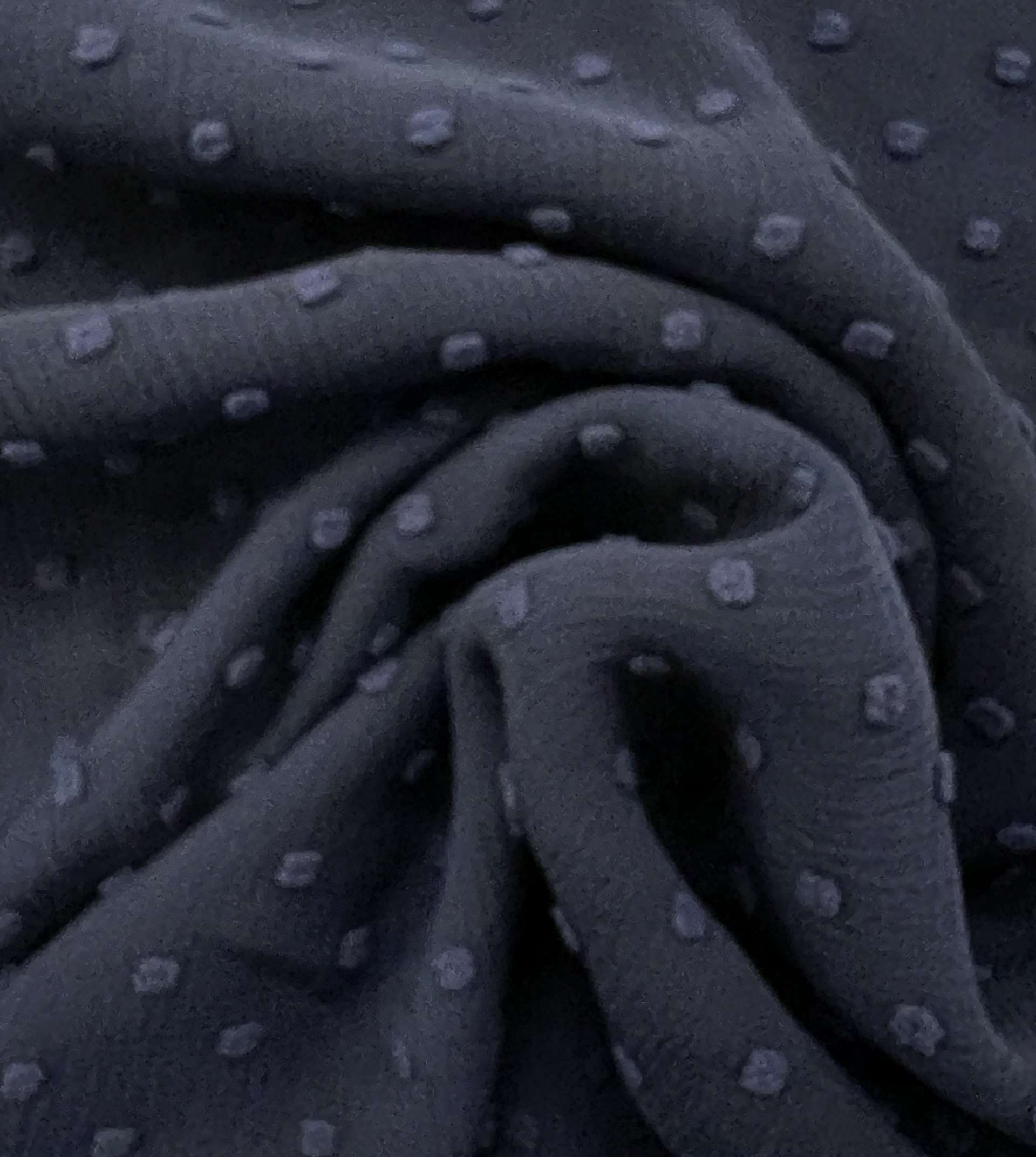 Clip Dotted Chiffon in Navy