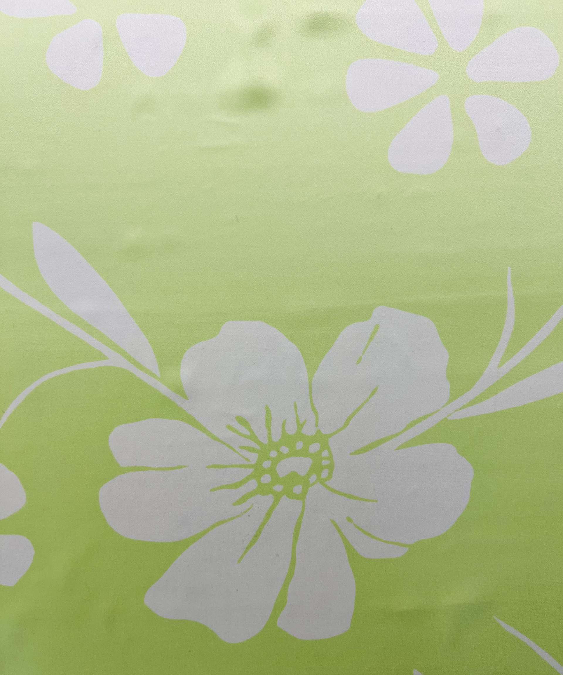 Printed French Silk Charmeuse