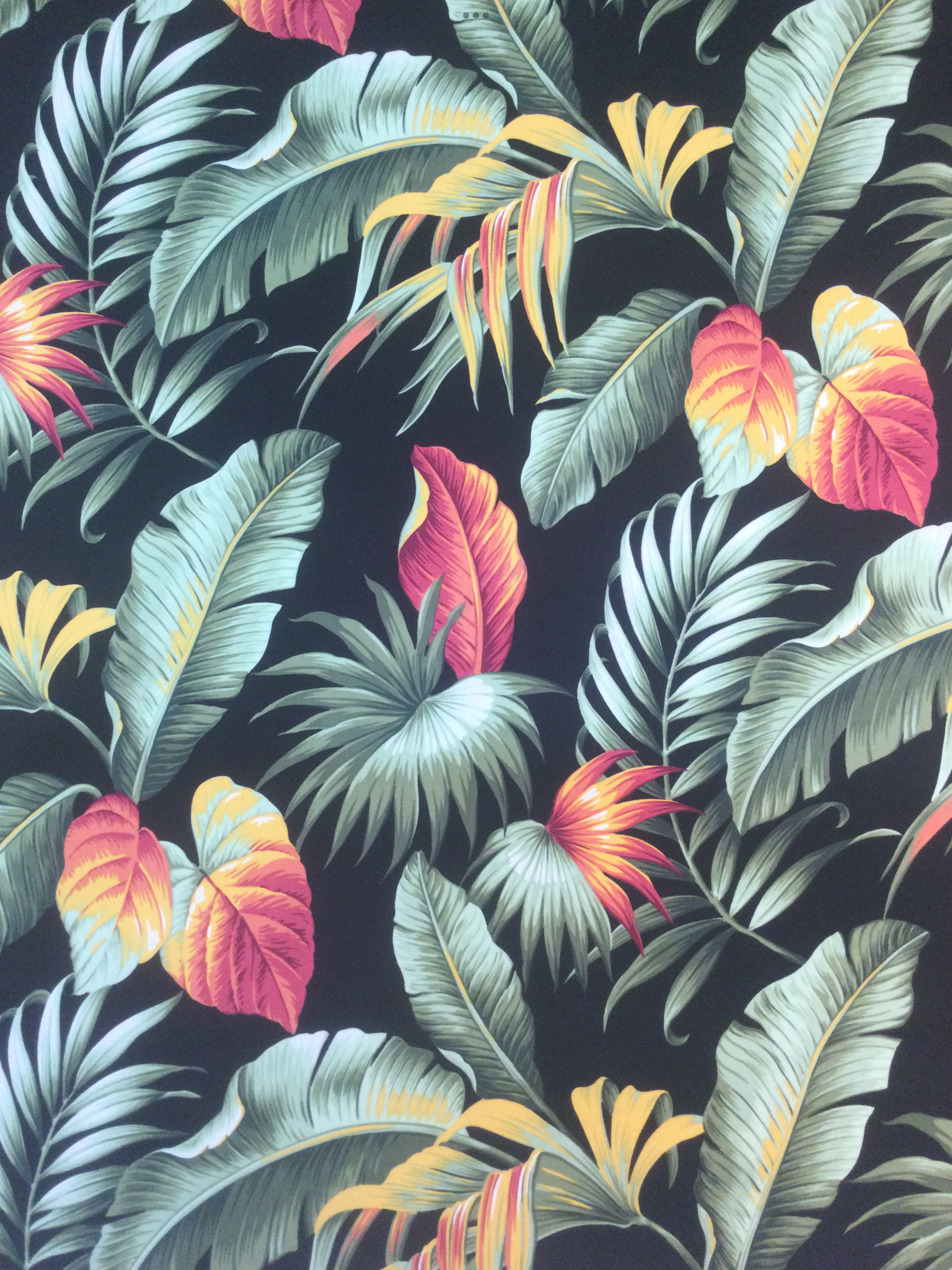 Cotton Broadcloth Print