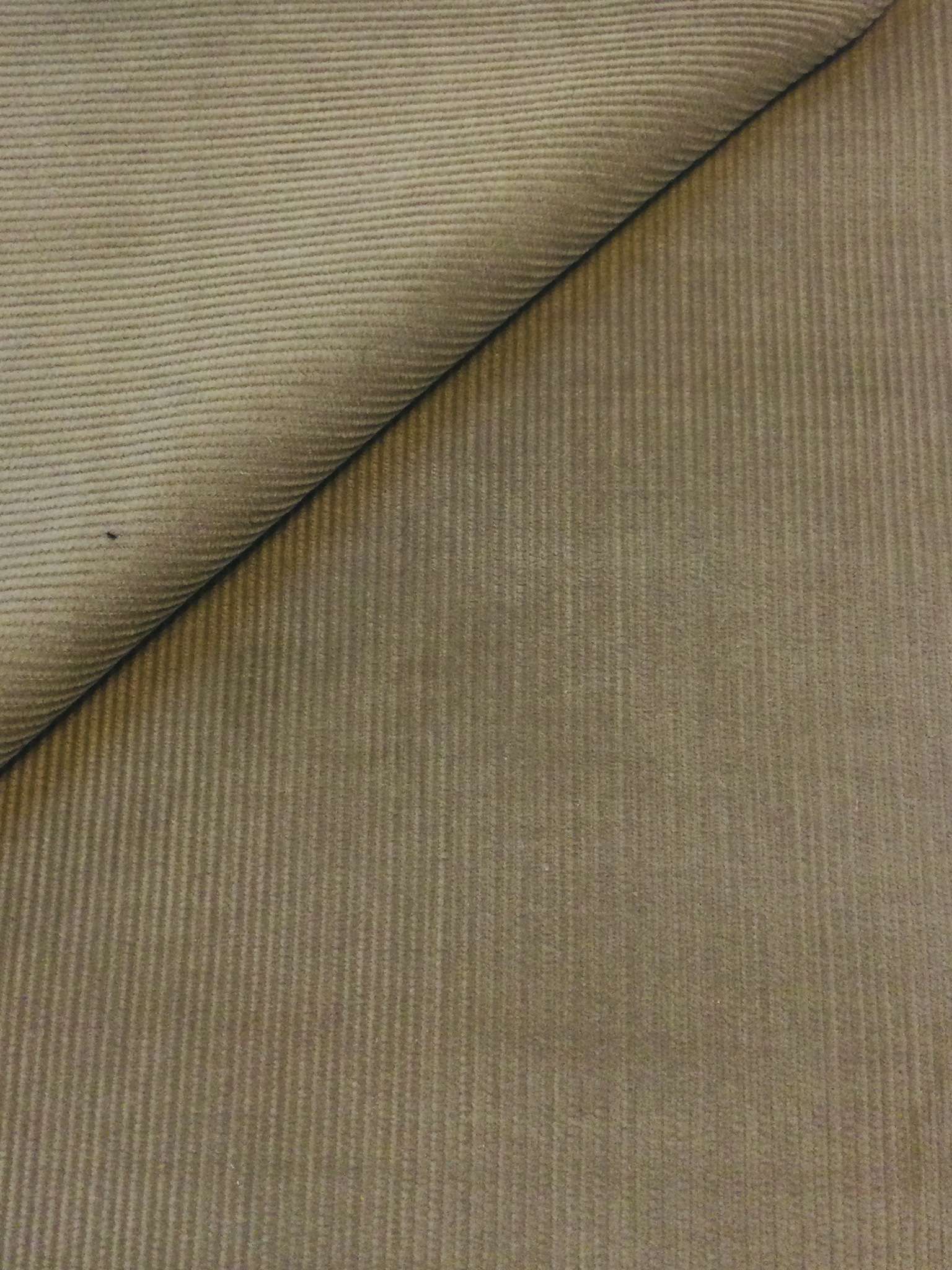Cotton 12 Wale Corduroy in Tan