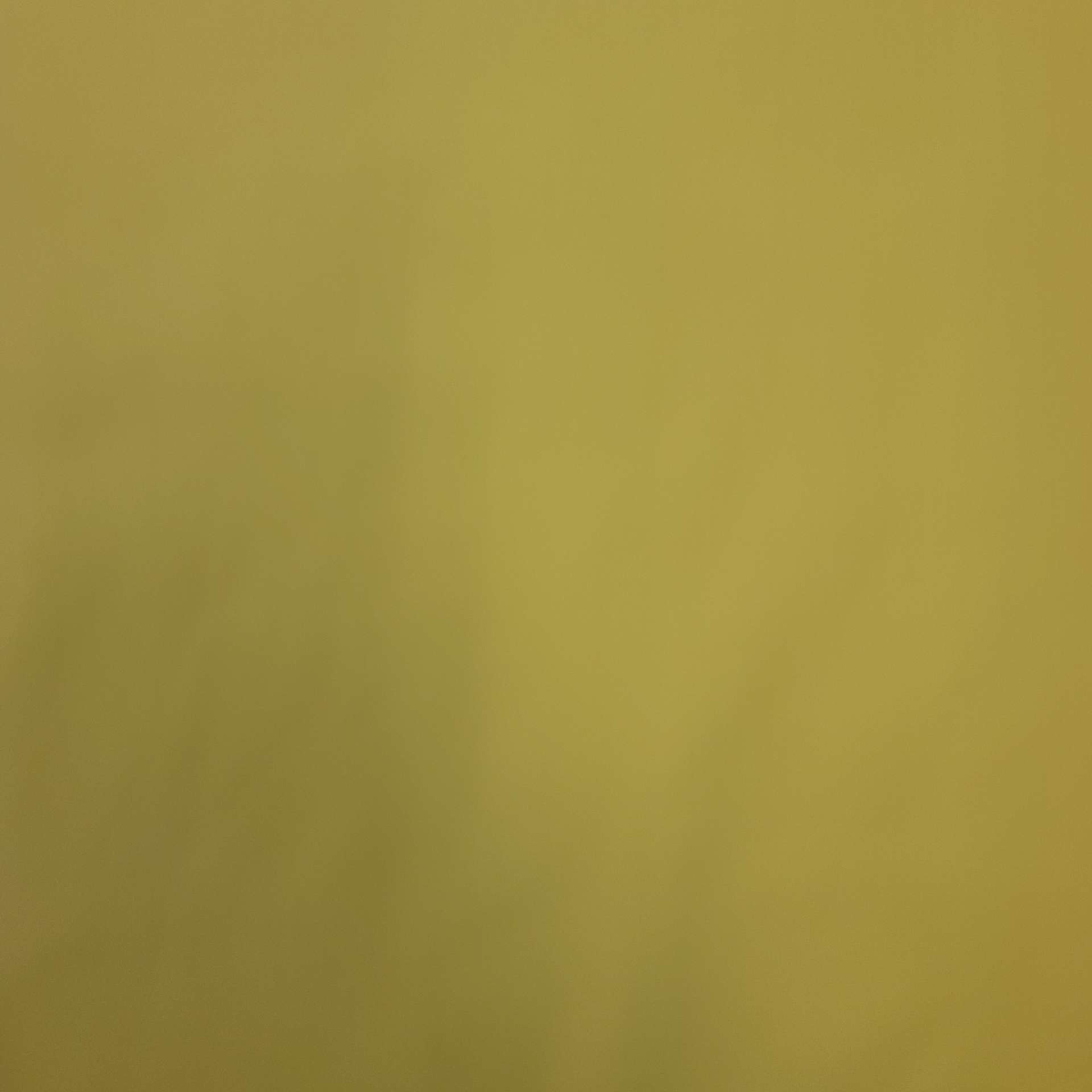Poly Cotton Blend Broadcloth in Citrus