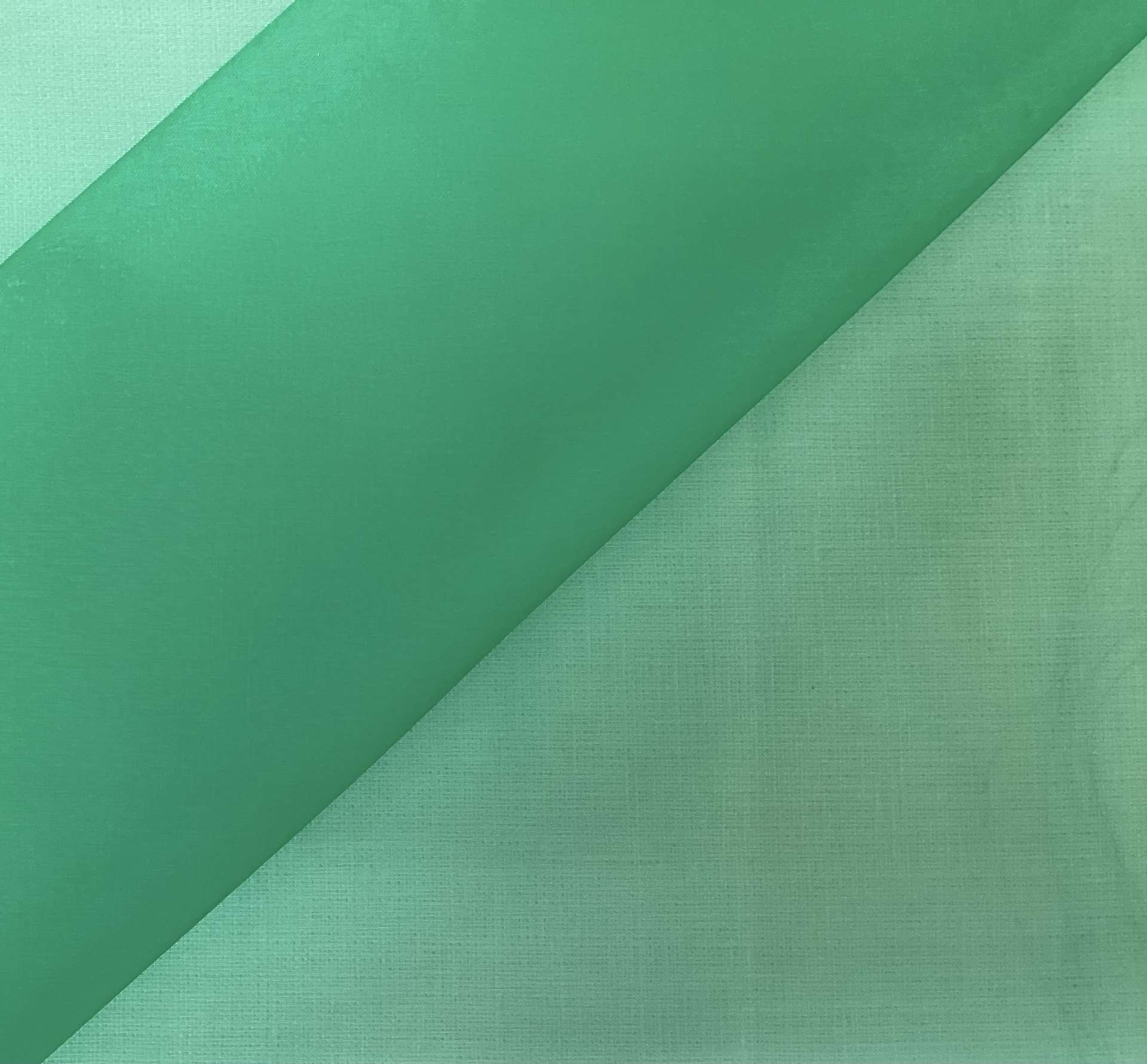 100% Silk Organza In Kelly Green