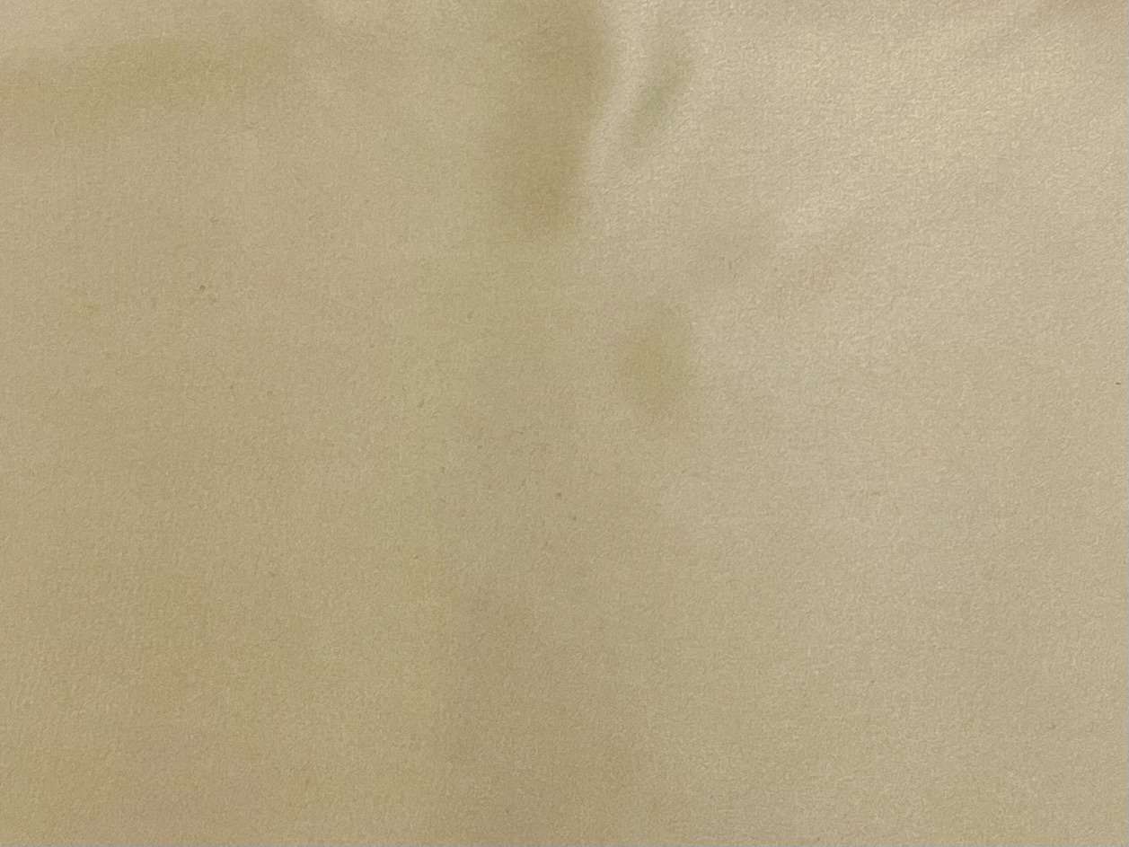 Silk Charmeuse in Champagne