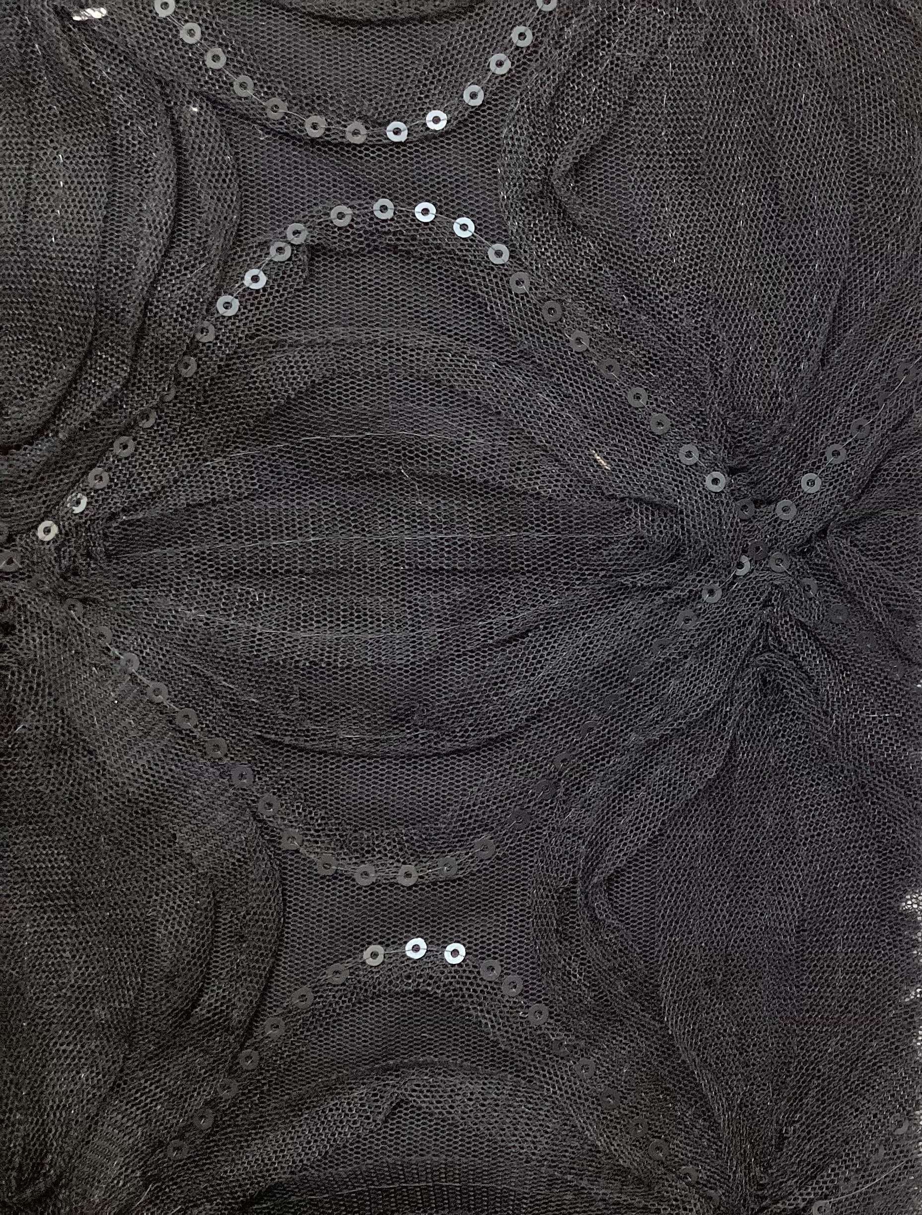 embroidered tulle with Sequins In Black