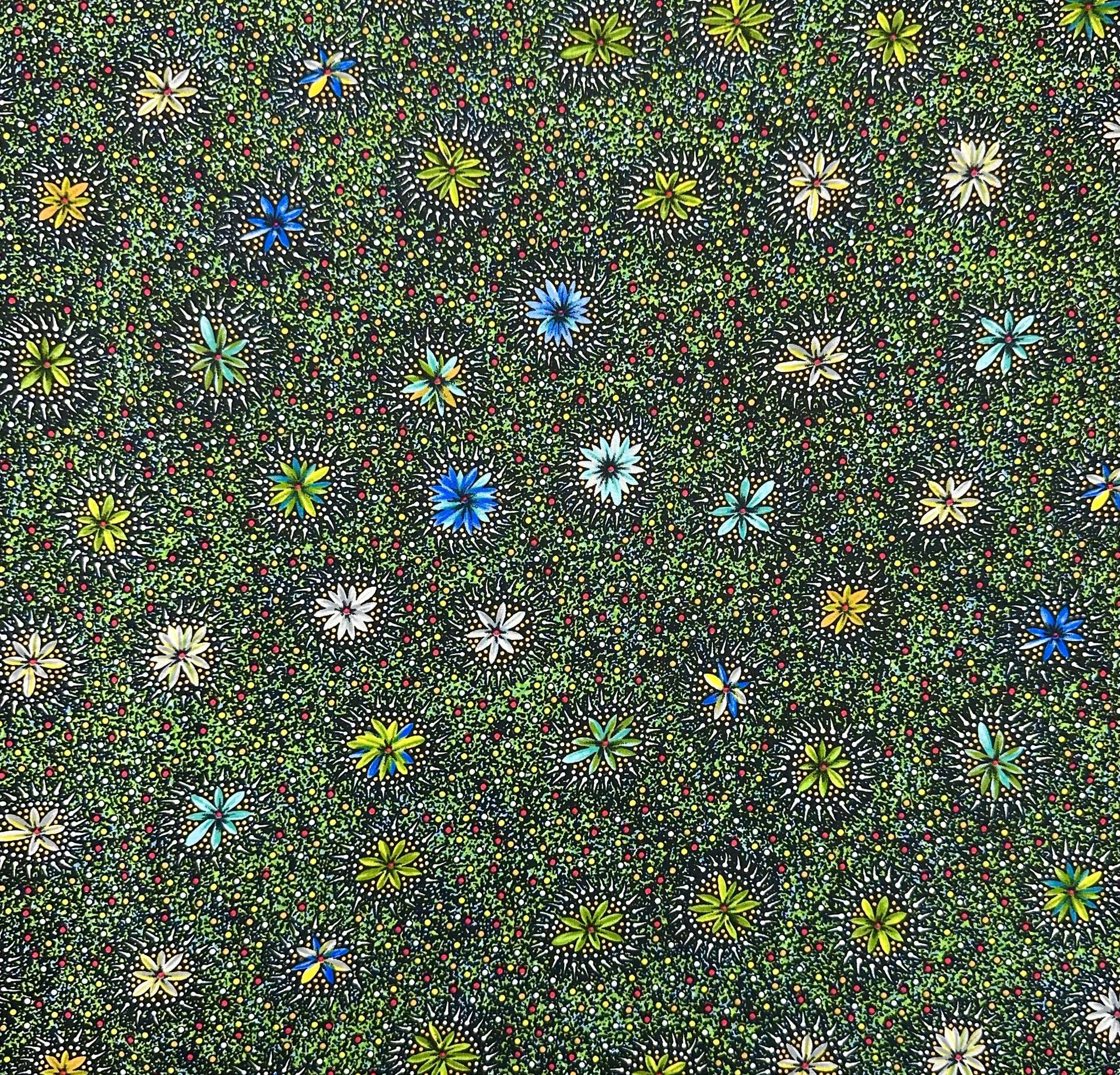 Australian Cotton Print With Aboriginal Motif in Multi