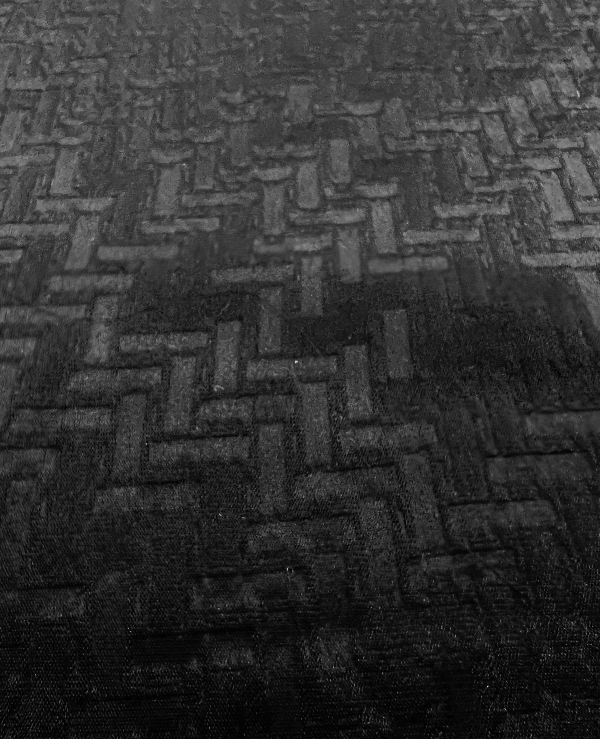 Embossed Triacetate & Polyester Blend Charmeuse in Black 