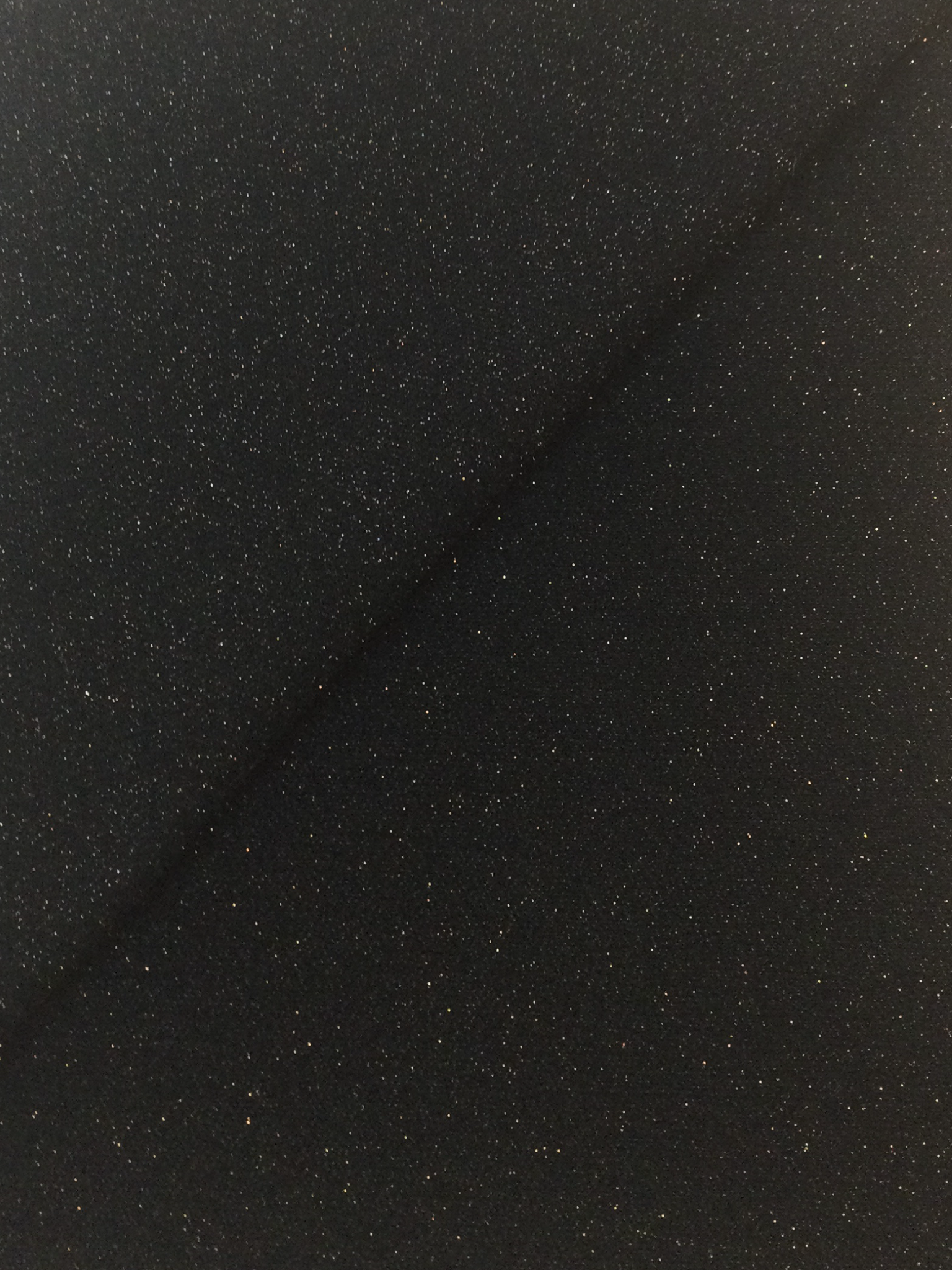 Nylon Blend Jersey Lame' in Black