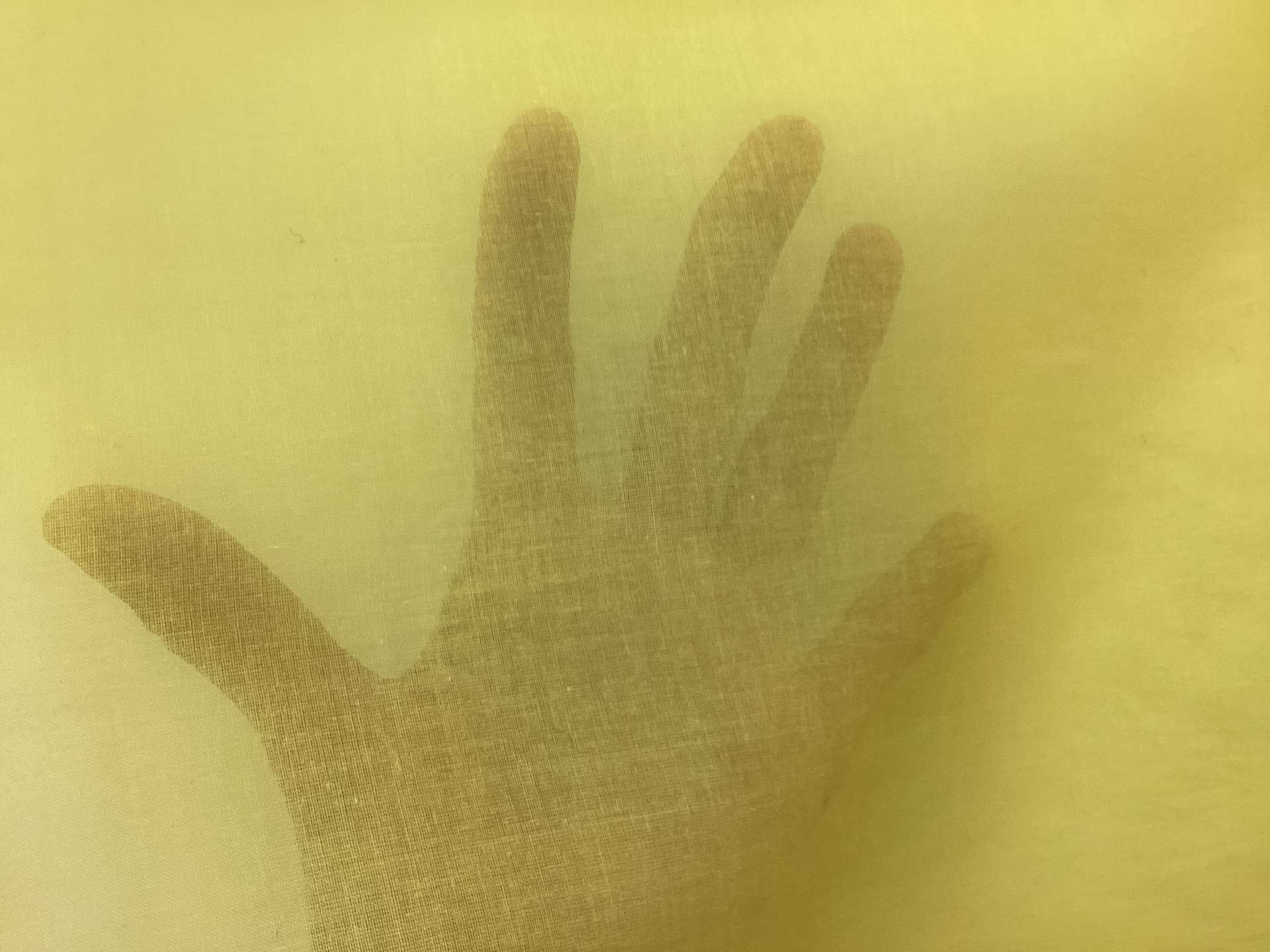 100% Cotton Organdy In Lemon