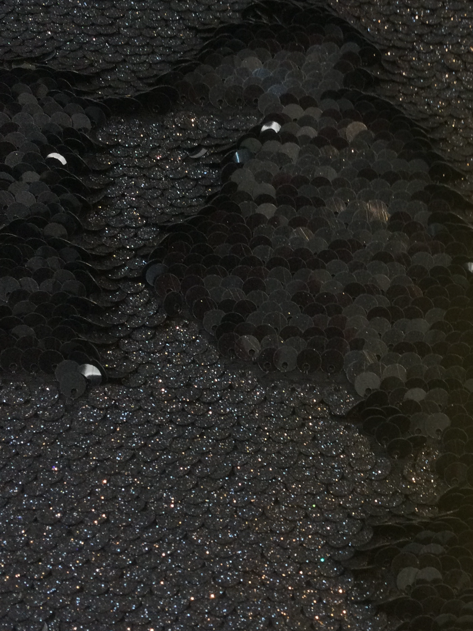 Hologram Fishscale Sequined Jersey in Black