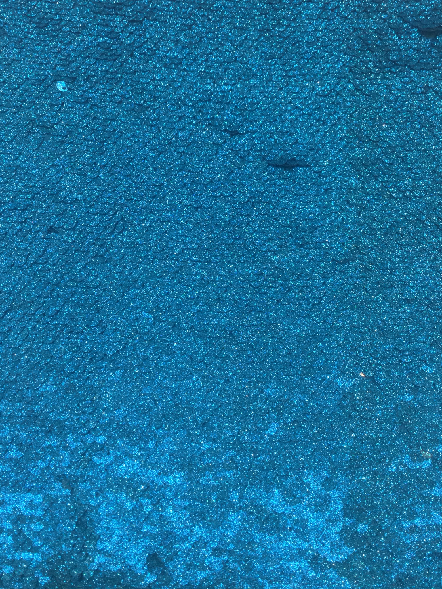 Hologram Fishscale Sequined Jersey in Turquoise 