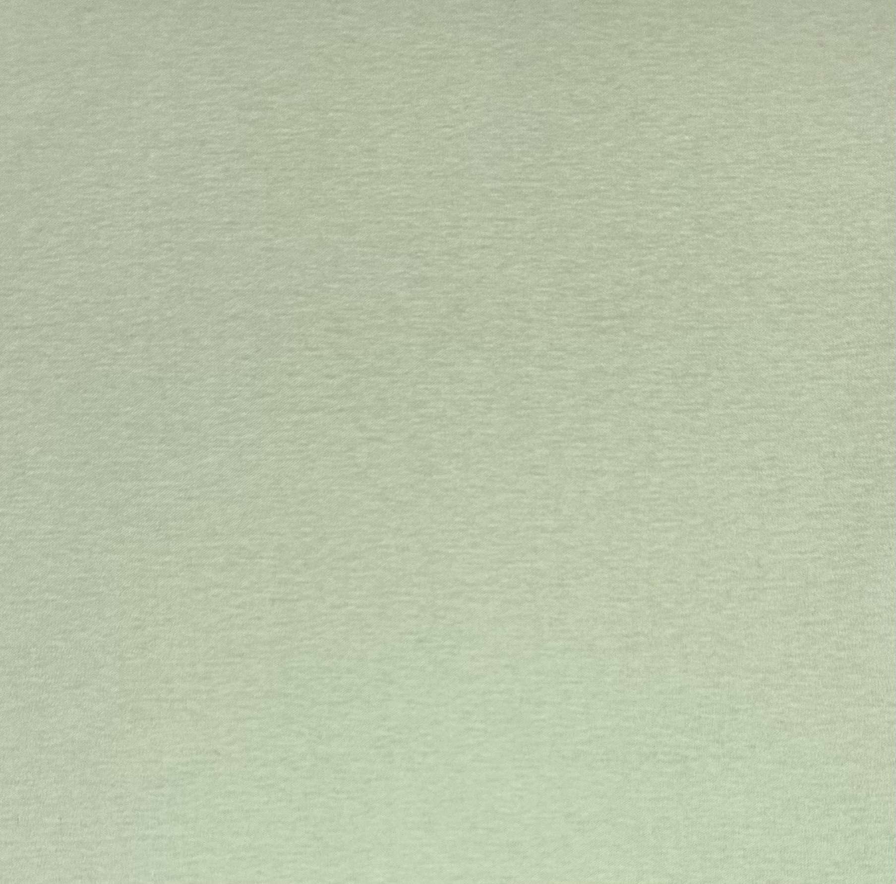 Japanese Cotton Interlock in Celadon