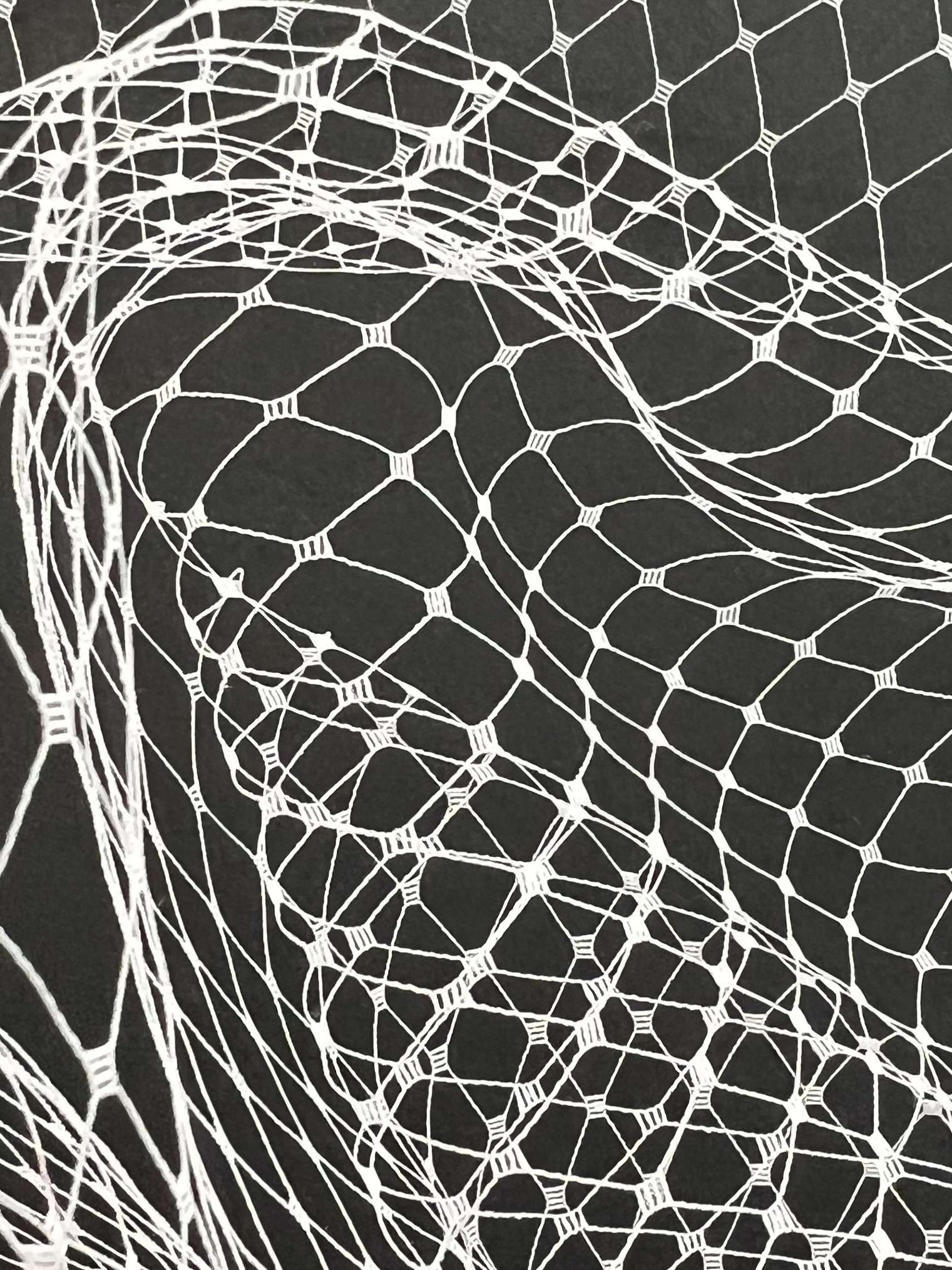 Nylon Birdcage Net in Optic White