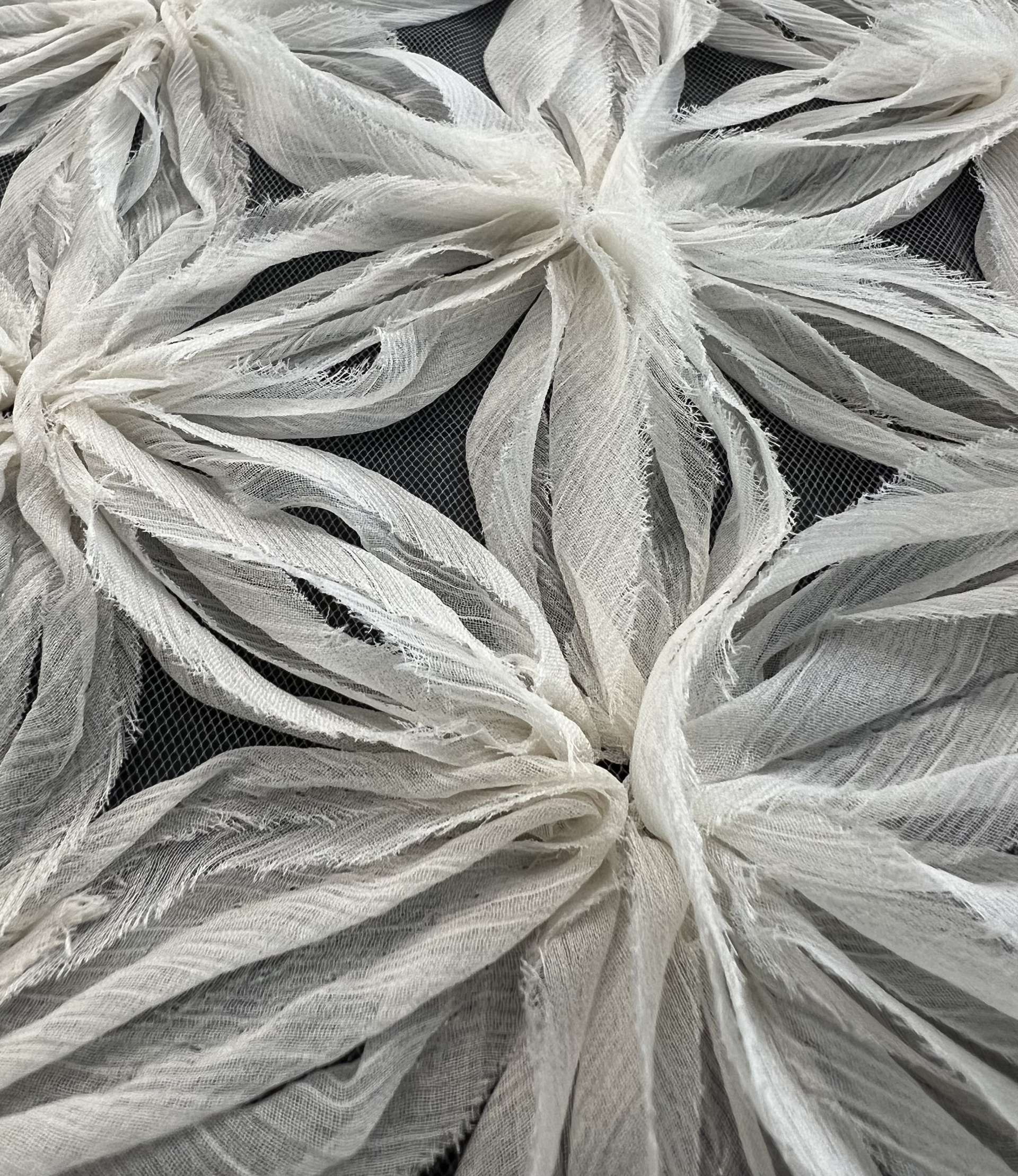 Chiffon Ribbon Embroidered Tulle in Ecru