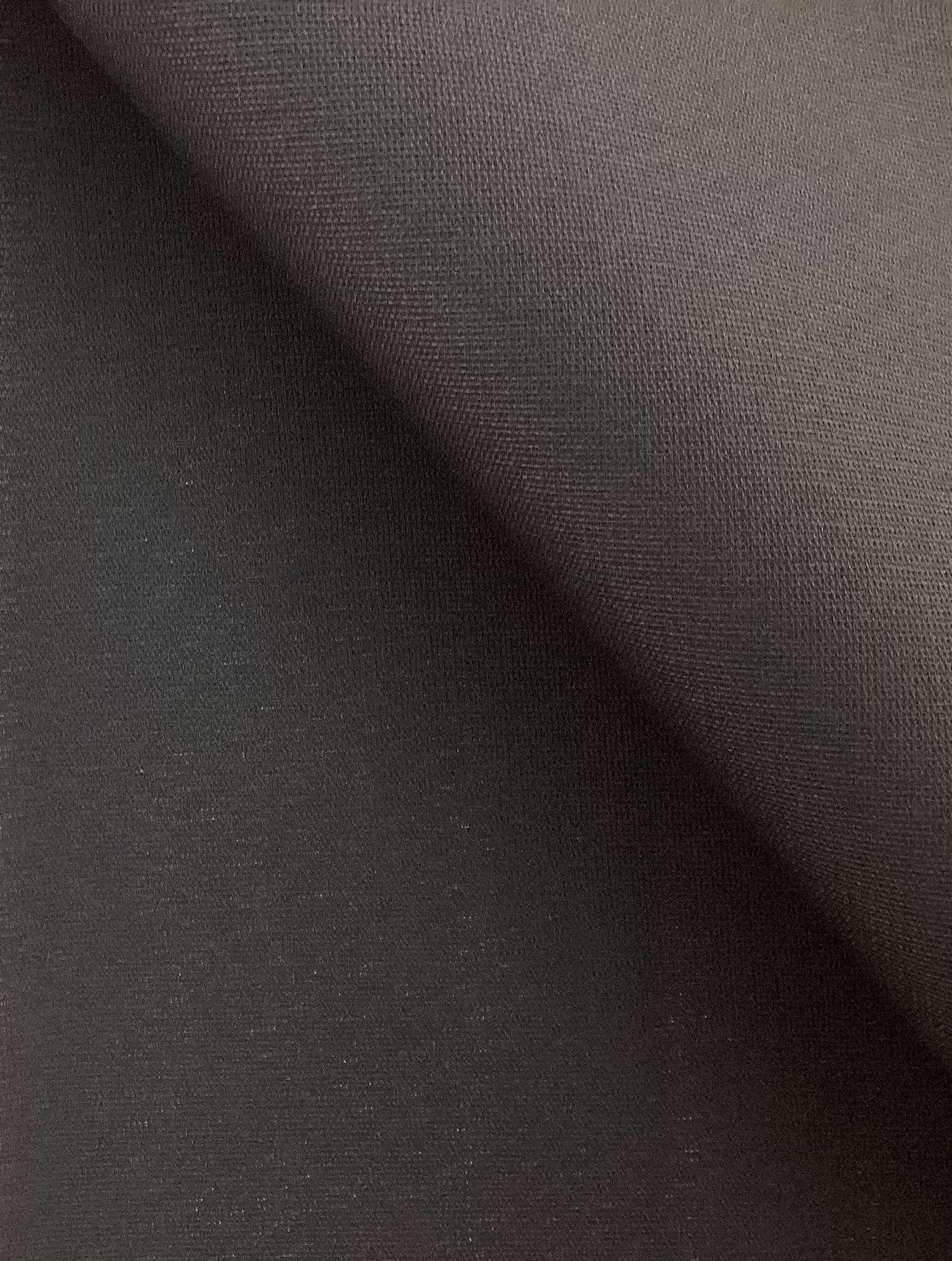 Silk Gazar in Black