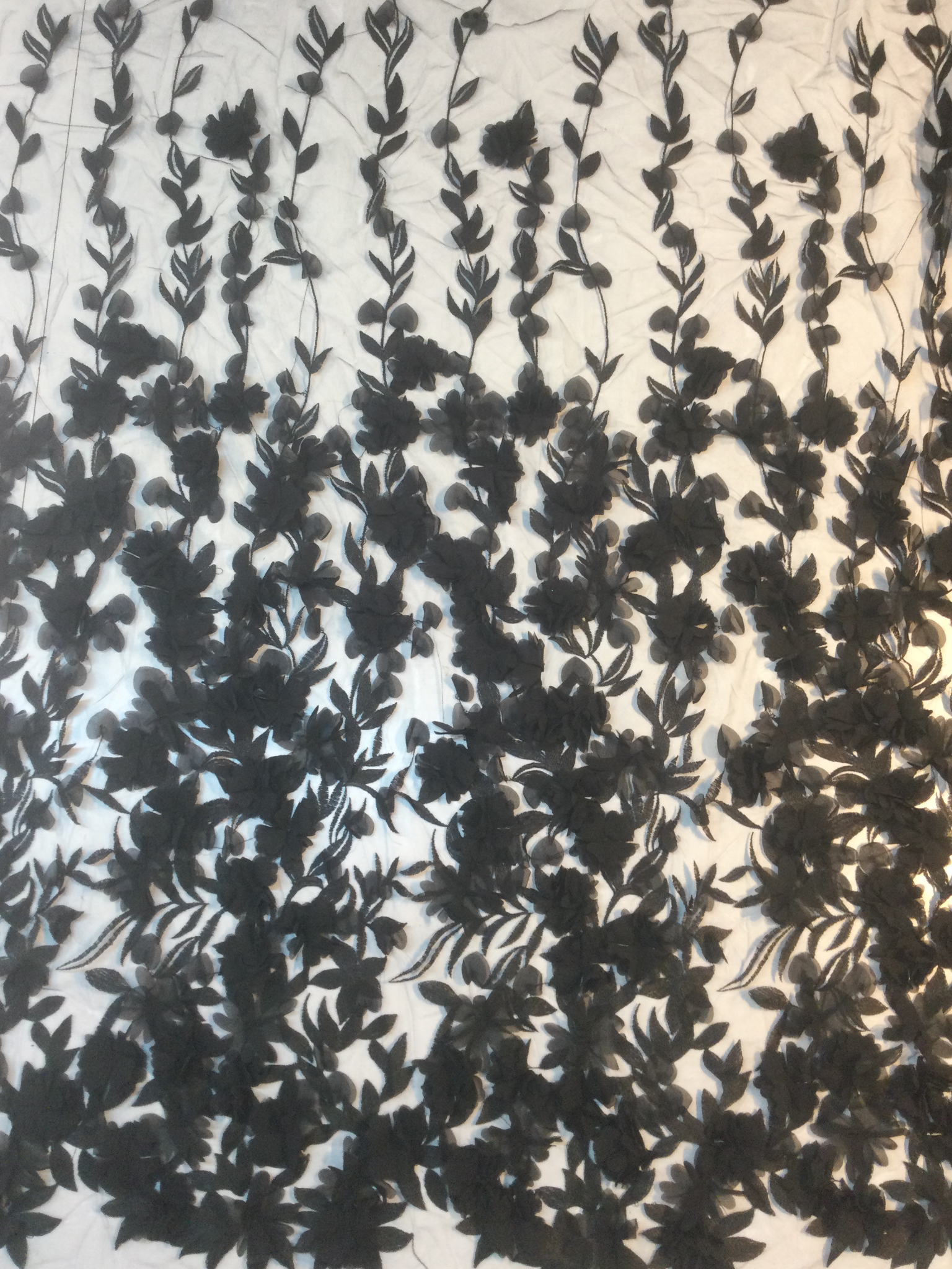 Embroidered Illusion with Applique' in Black