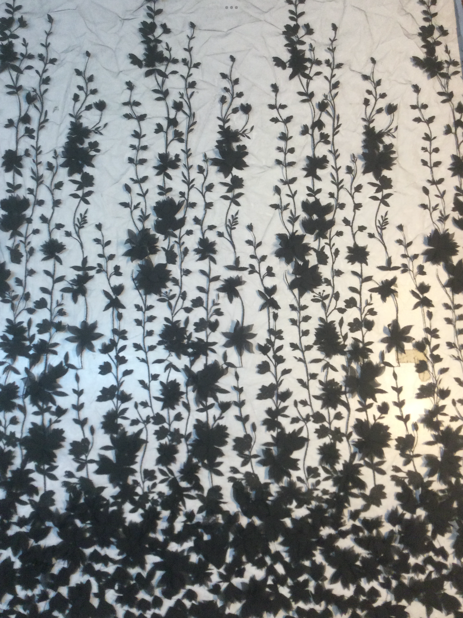 Embroidered Illusion with Applique' in Black