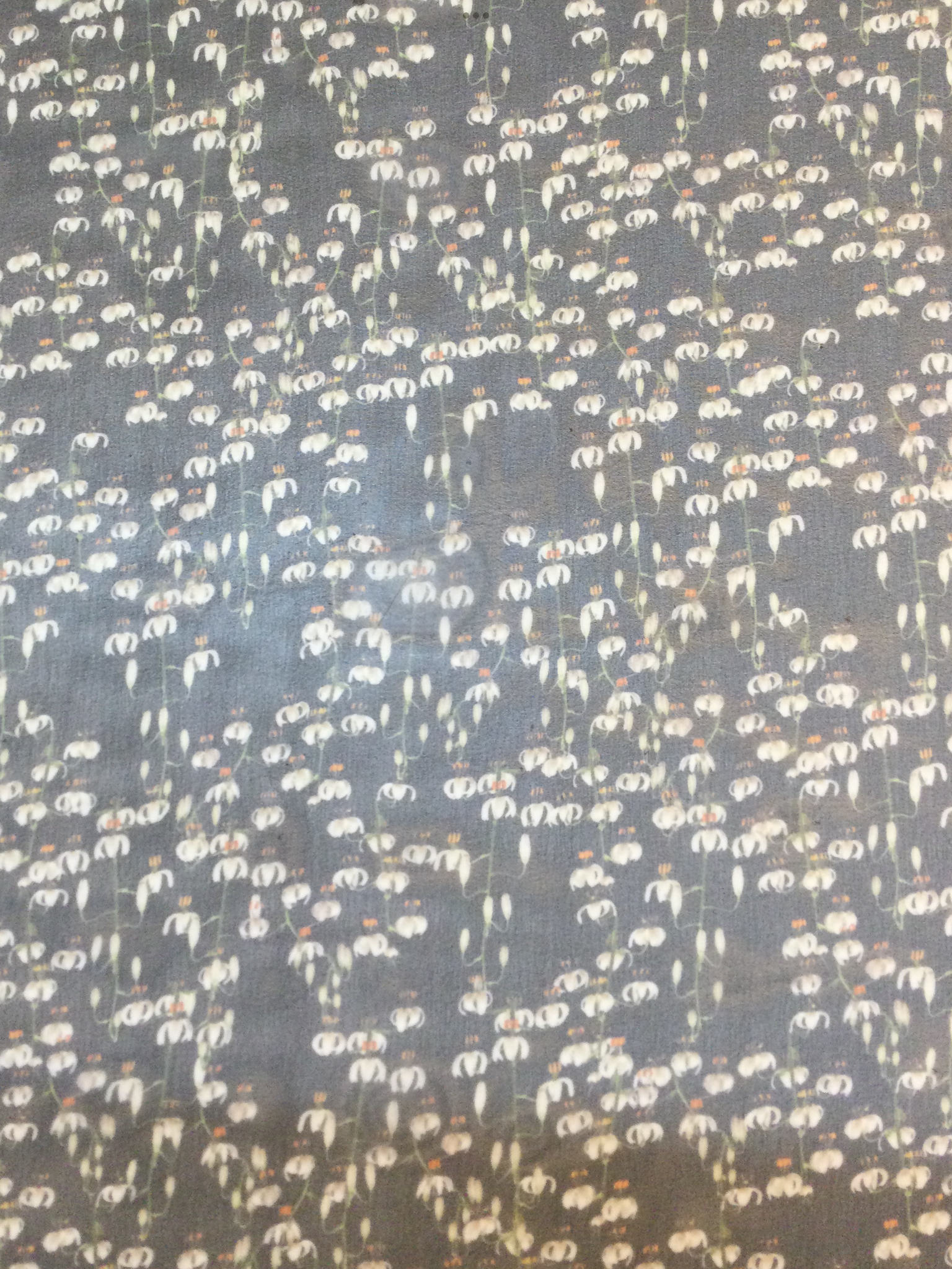 Printed 100% Silk Chiffon in Mini Floral