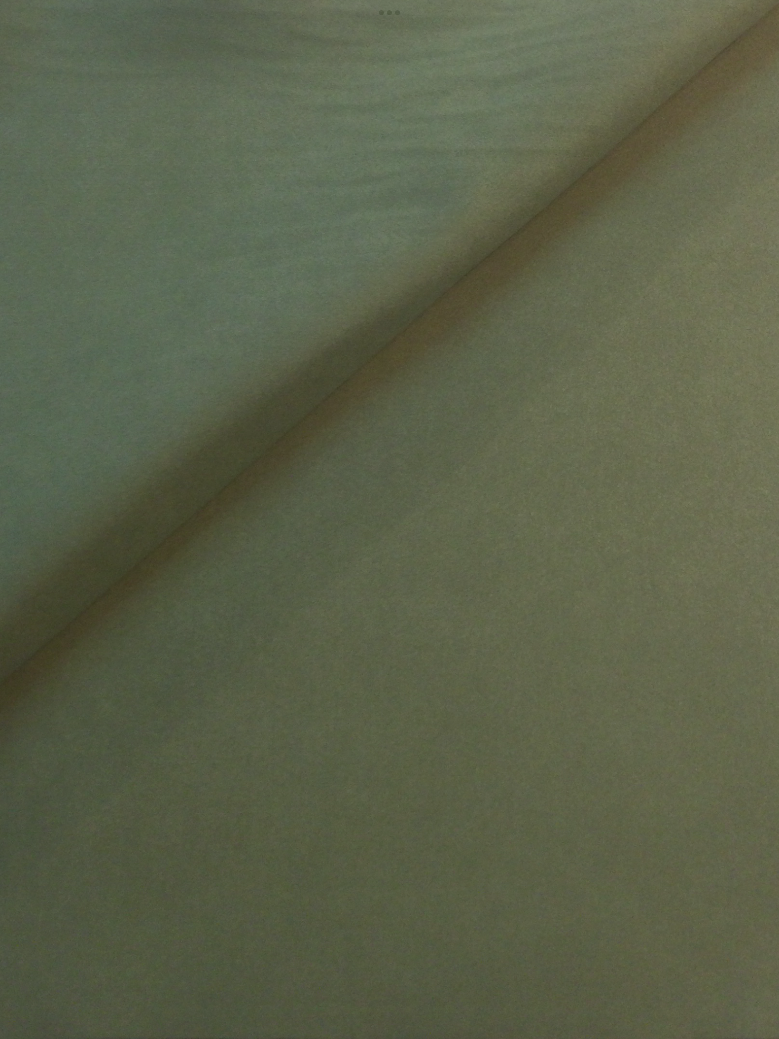 Japanese Ultrasuede SP in Green Icing