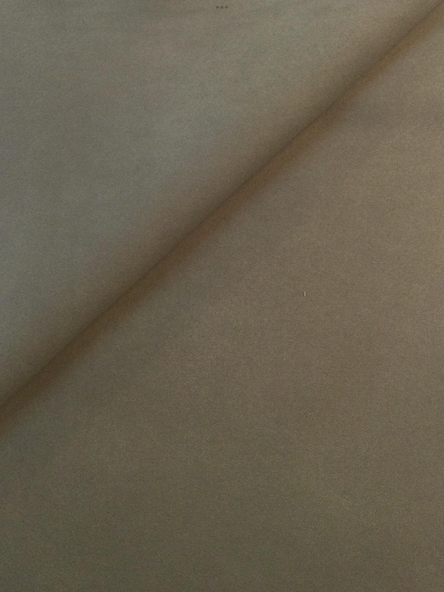 Japanese Ultrasuede SP in Cypress