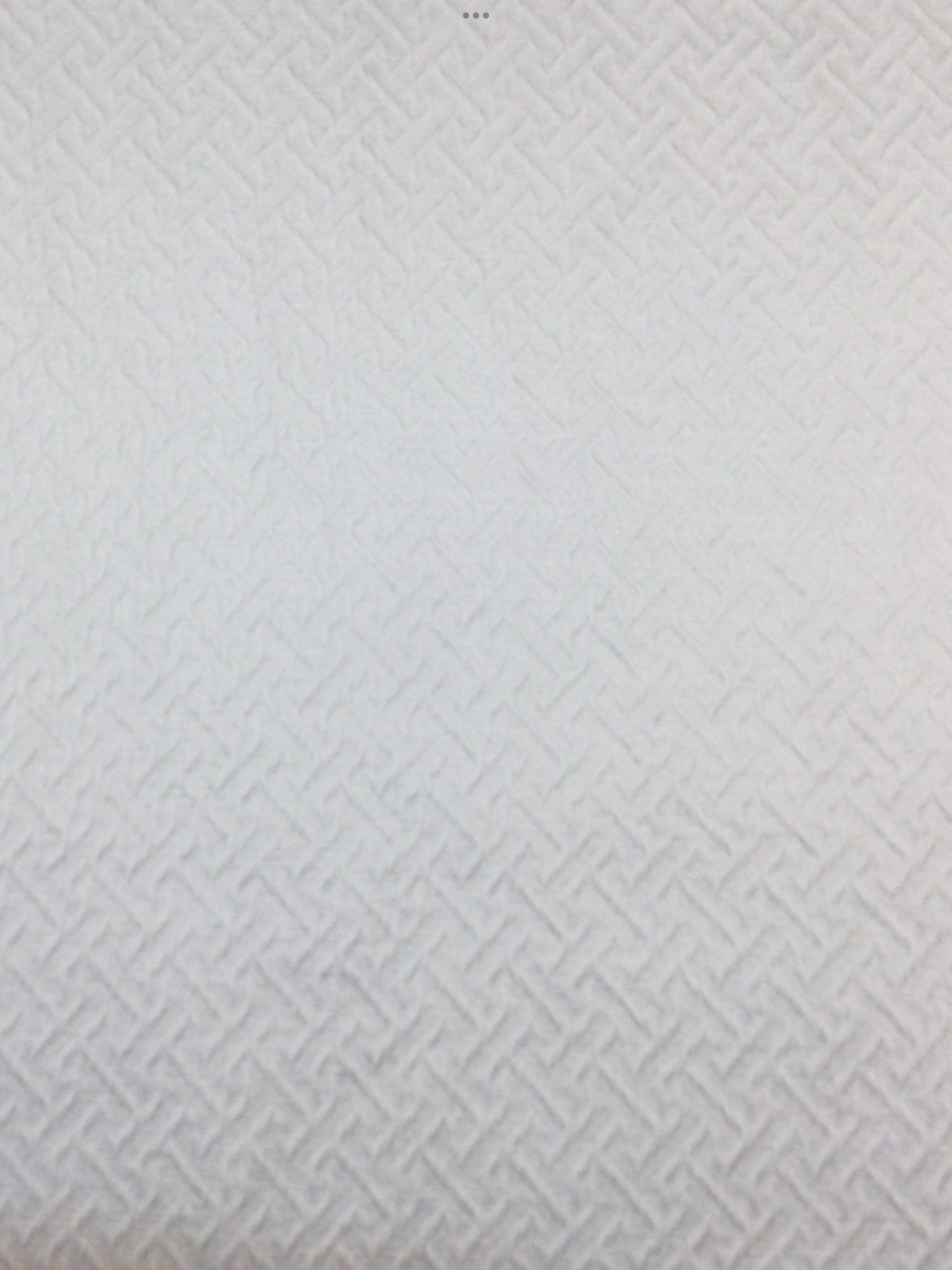 Cotton Blend Satin Brocade in White