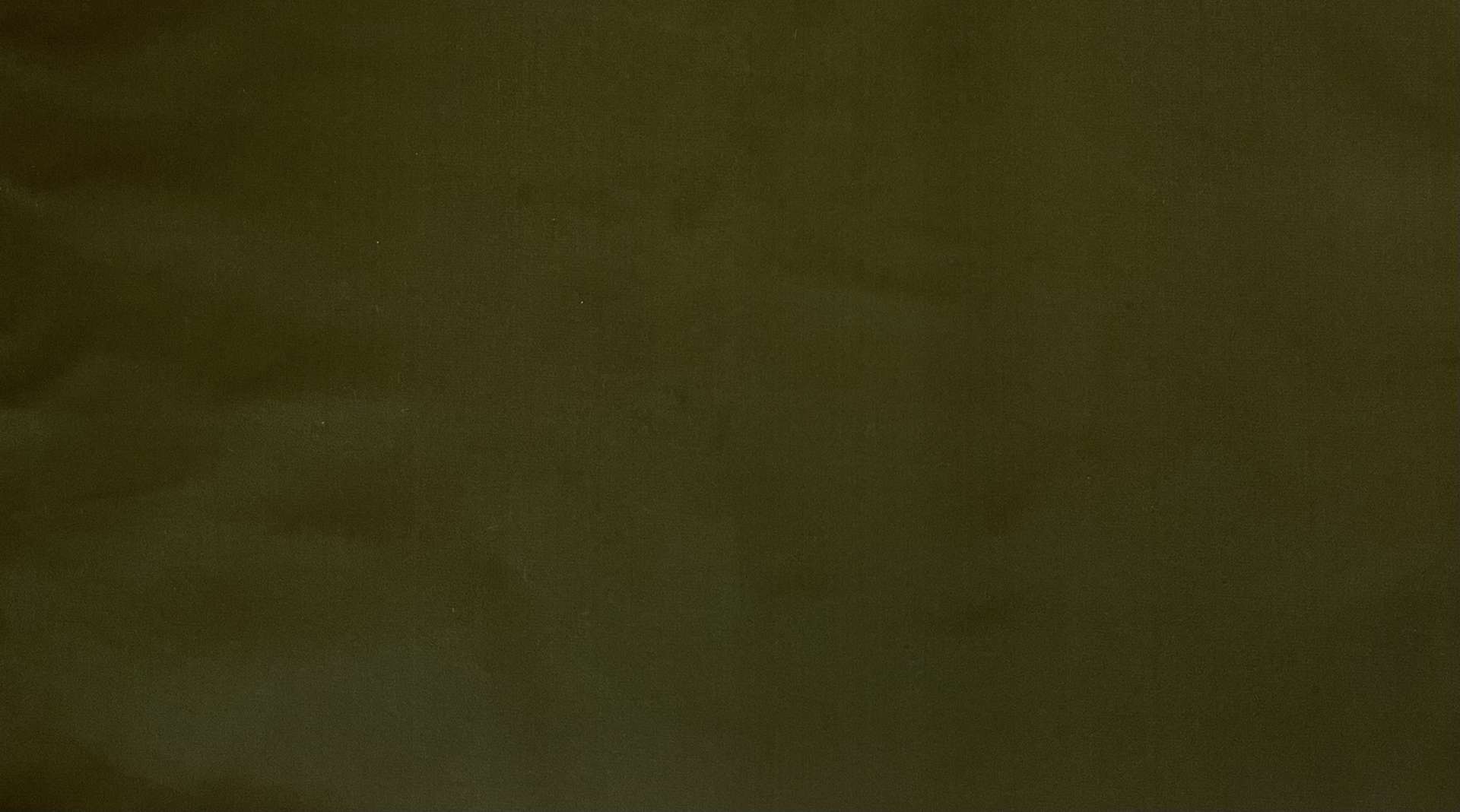 Silk Faced Duchess Satin in Dark Olive