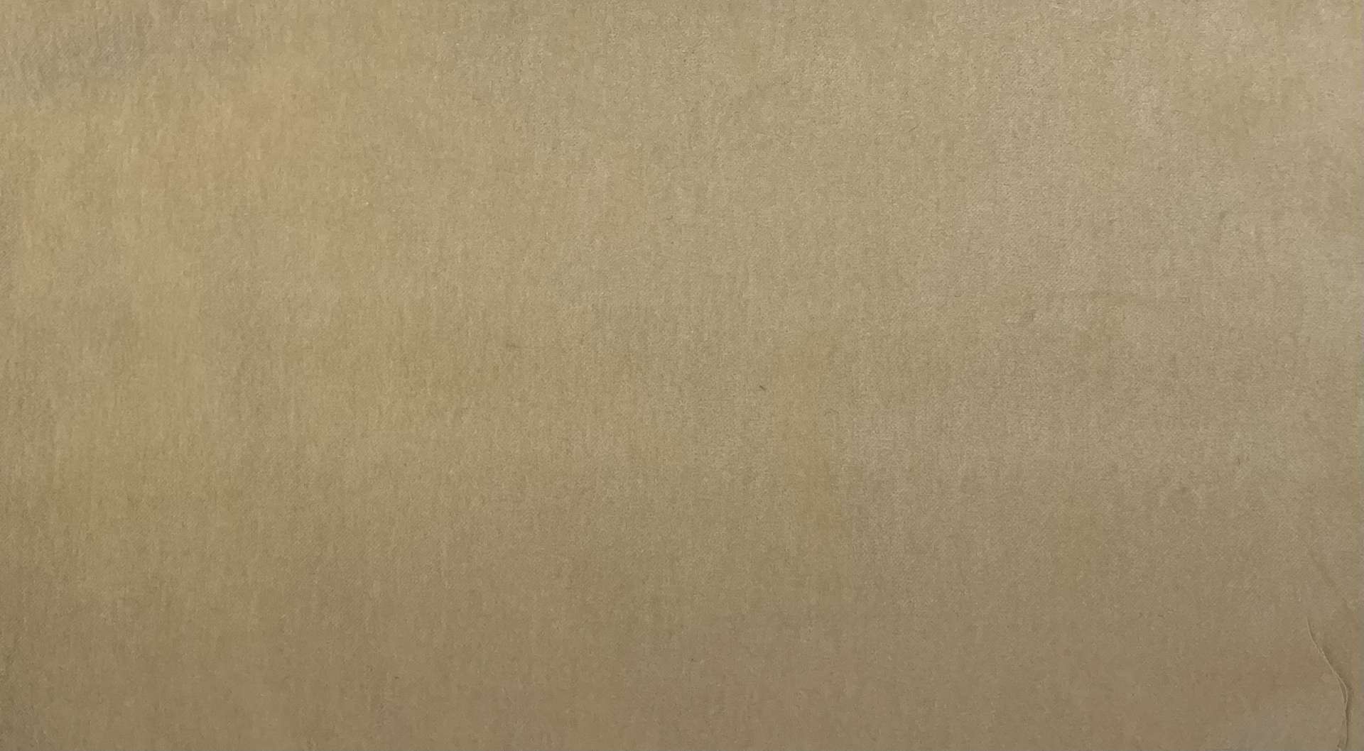 Cotton Velveteen in Eggshell