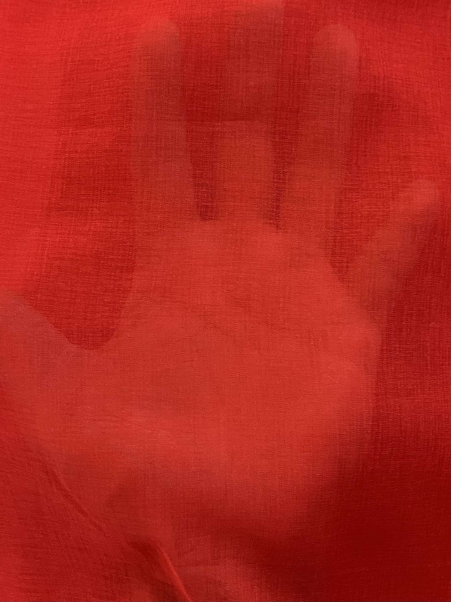 Japanese Polyester Gauze Chiffon in Red