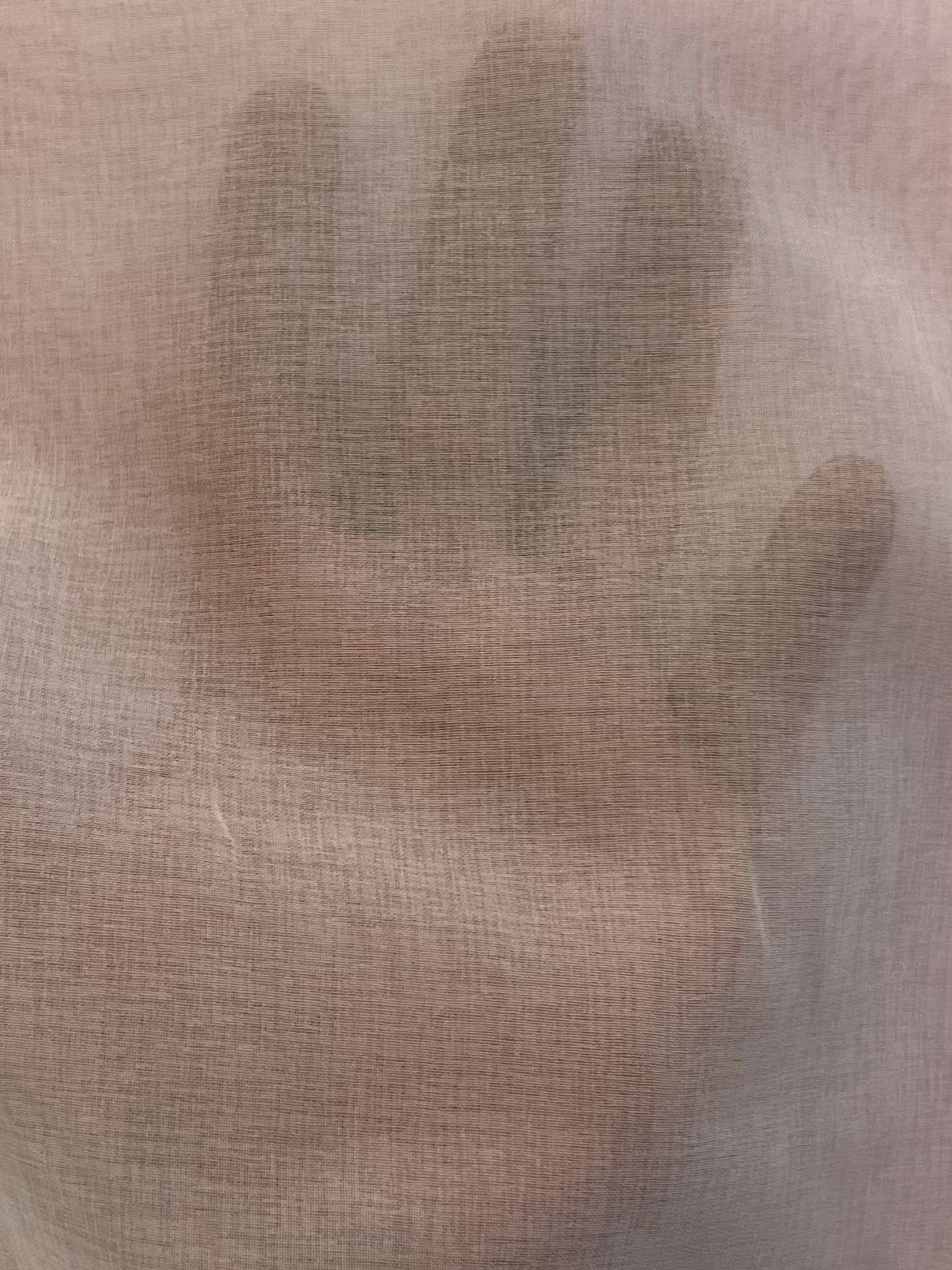 Japanese Polyester Gauze Chiffon in Haze