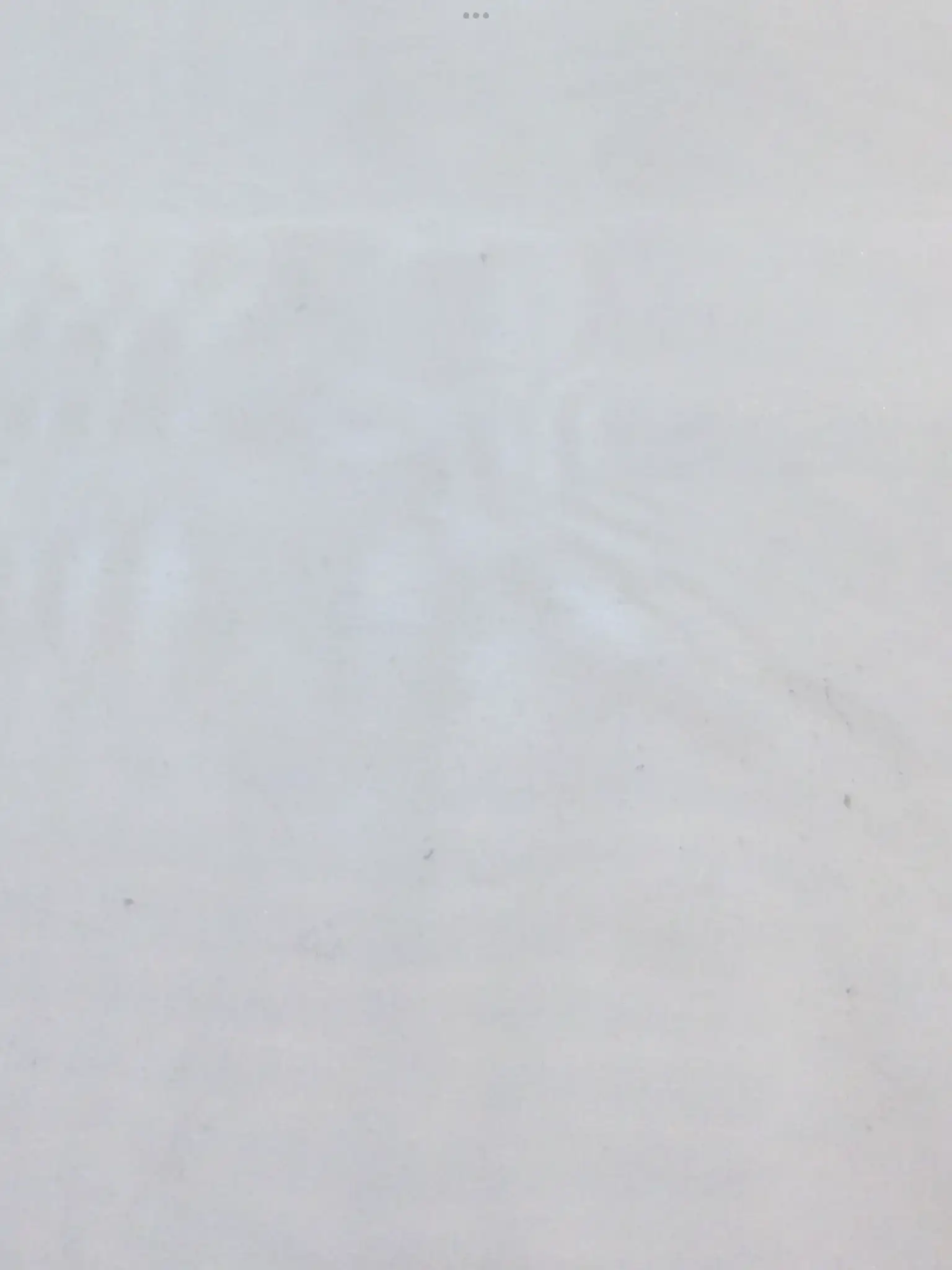 Polyester Organza in White
