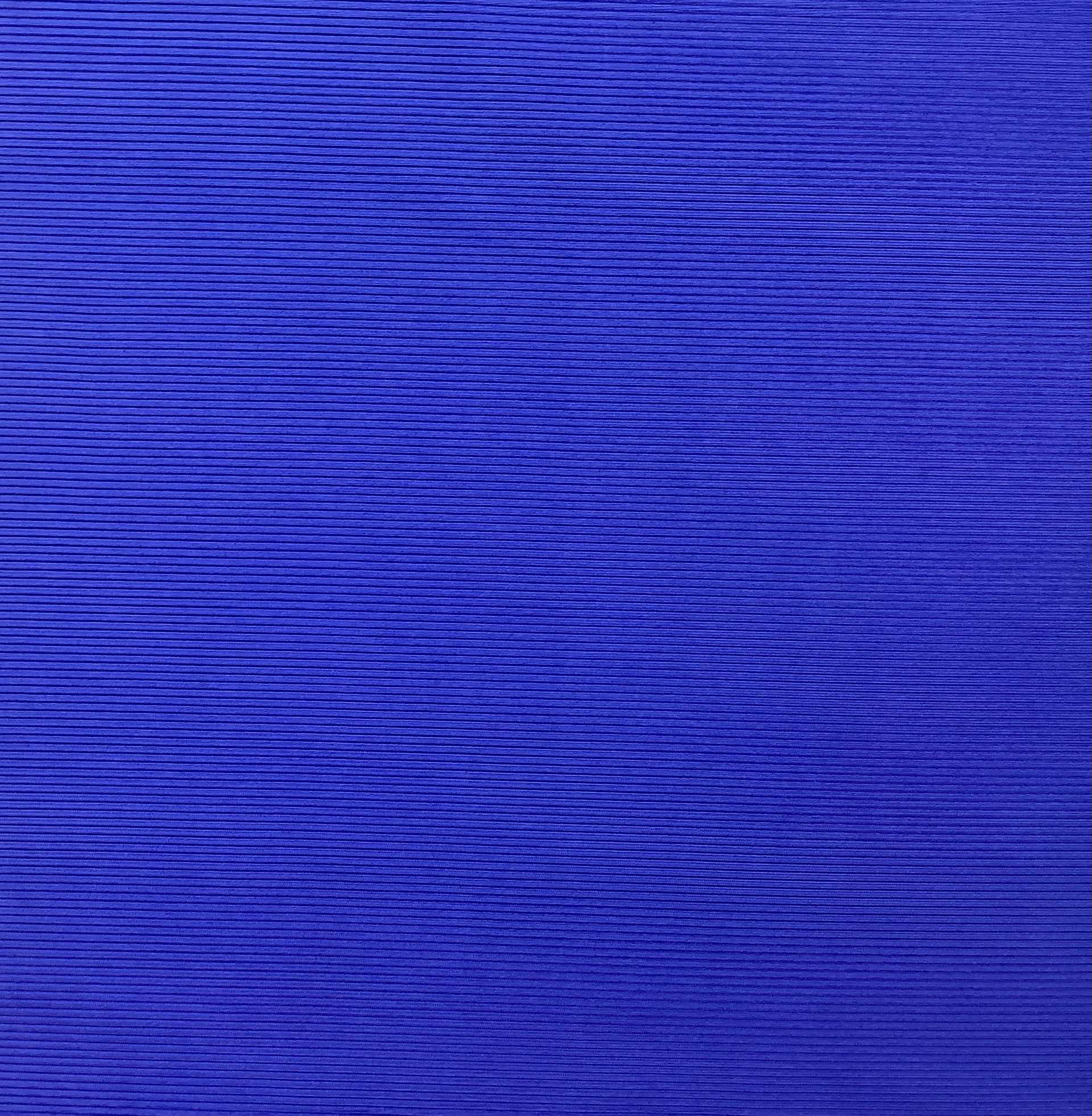Polyester & Nylon Stretch Rib Knit In Blue Sapphire 