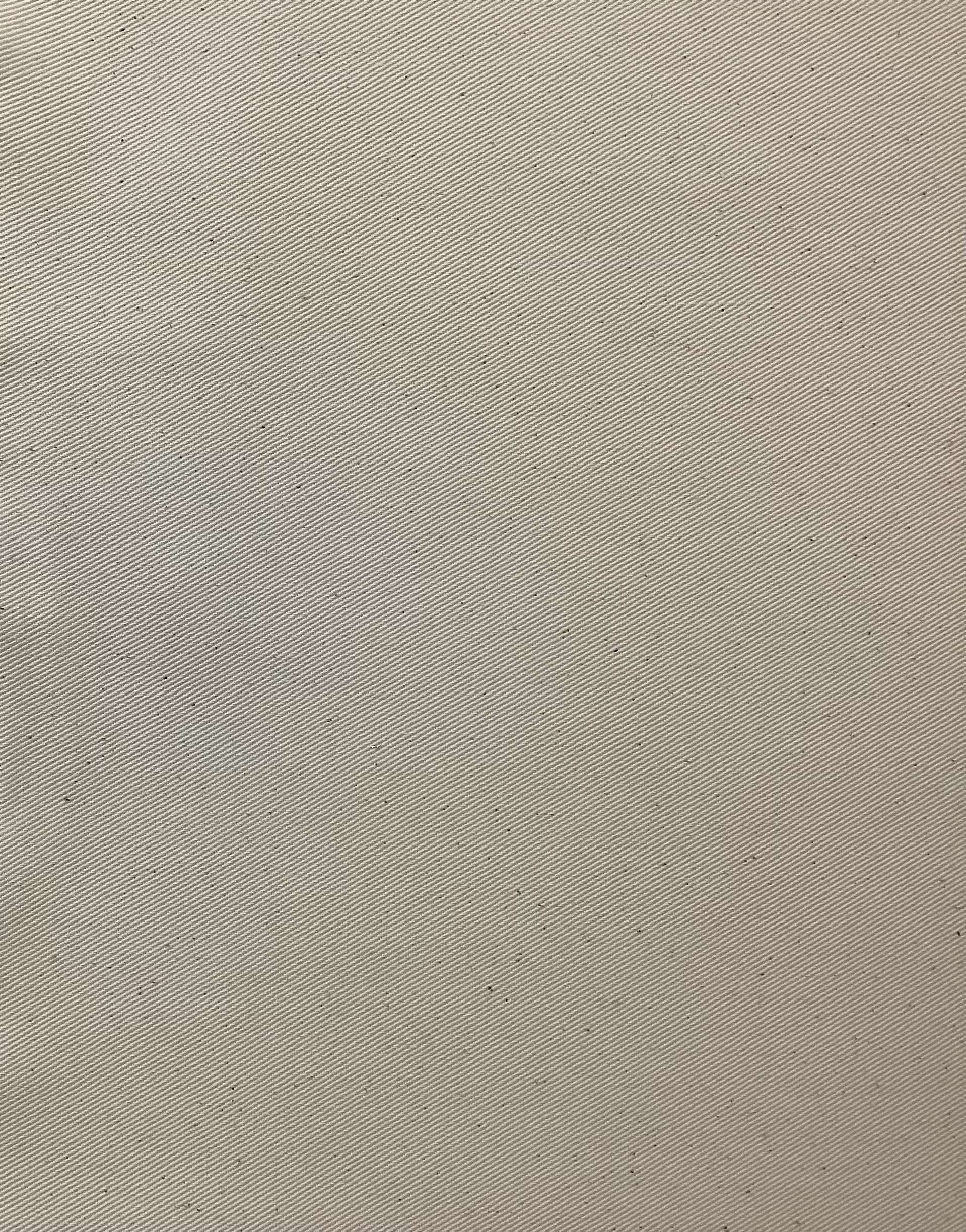 Cotton Chino Twill In Natural