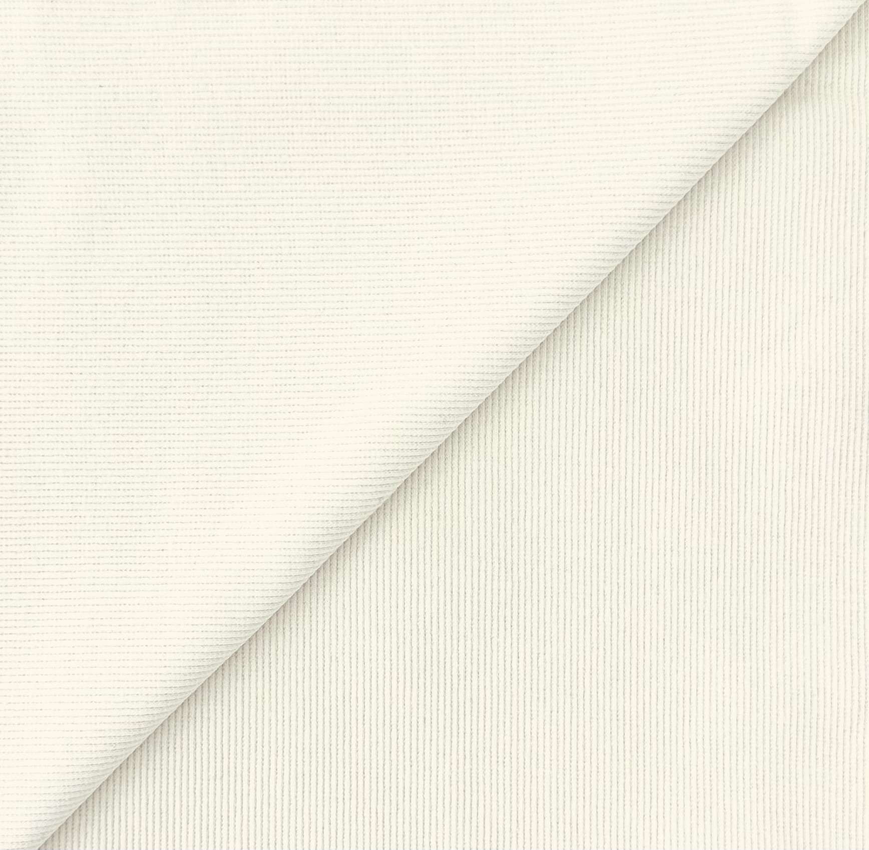 Imported Cotton Spandex Rib Knit in Ivory