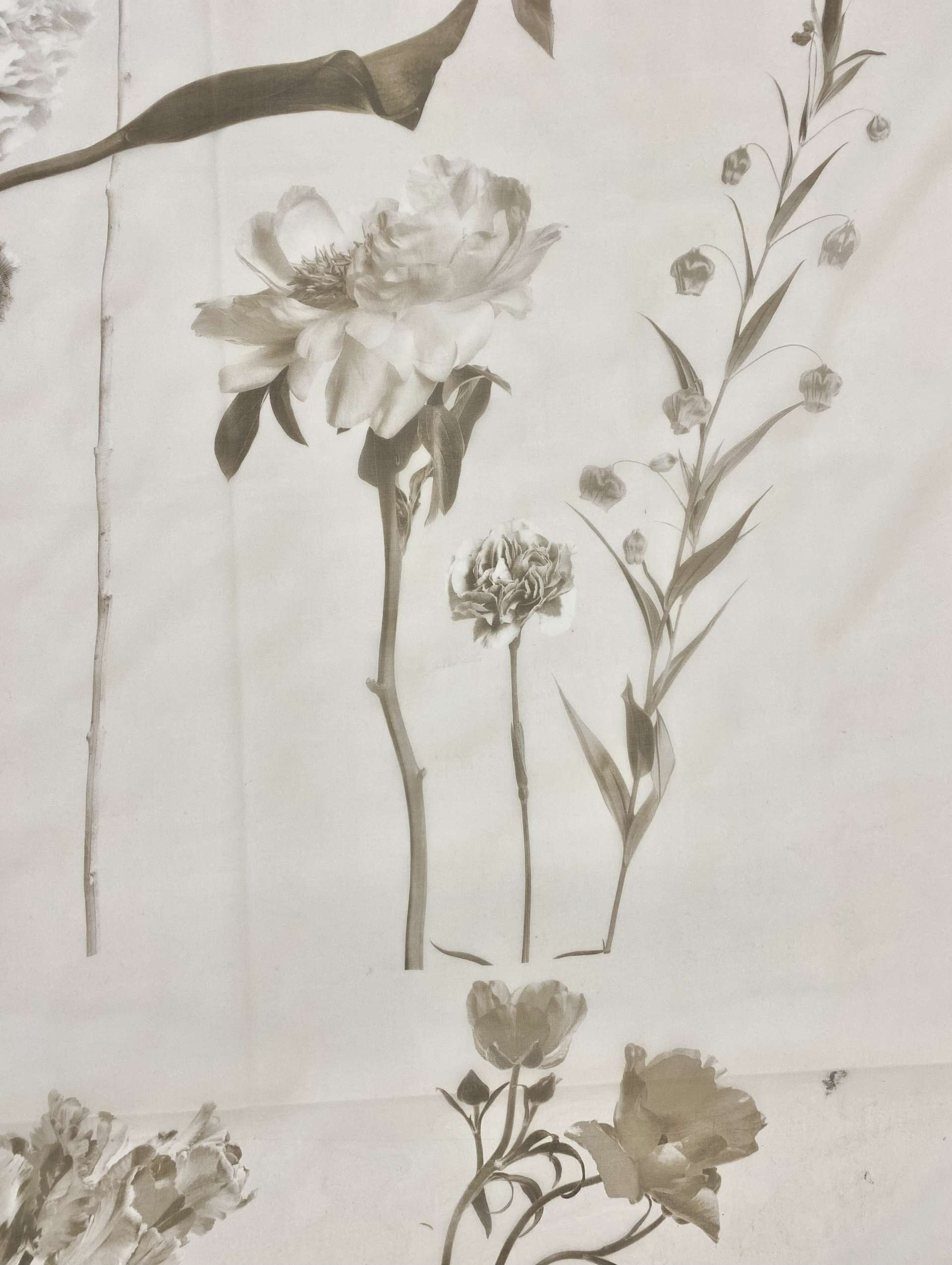 Made in Italy Pure Silk Organza Floral 